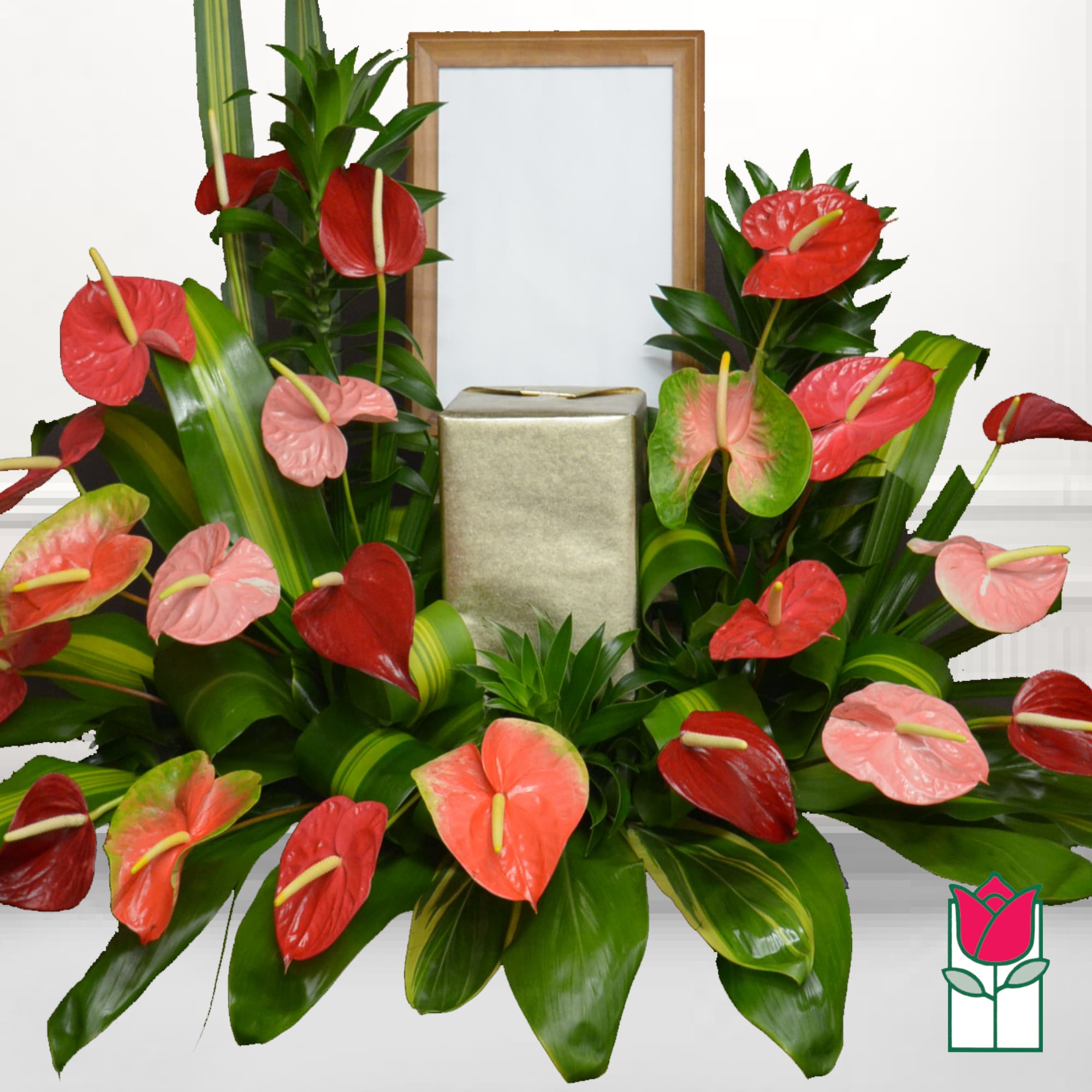 Arrangement of red and pink anthuriums around a gold gift box