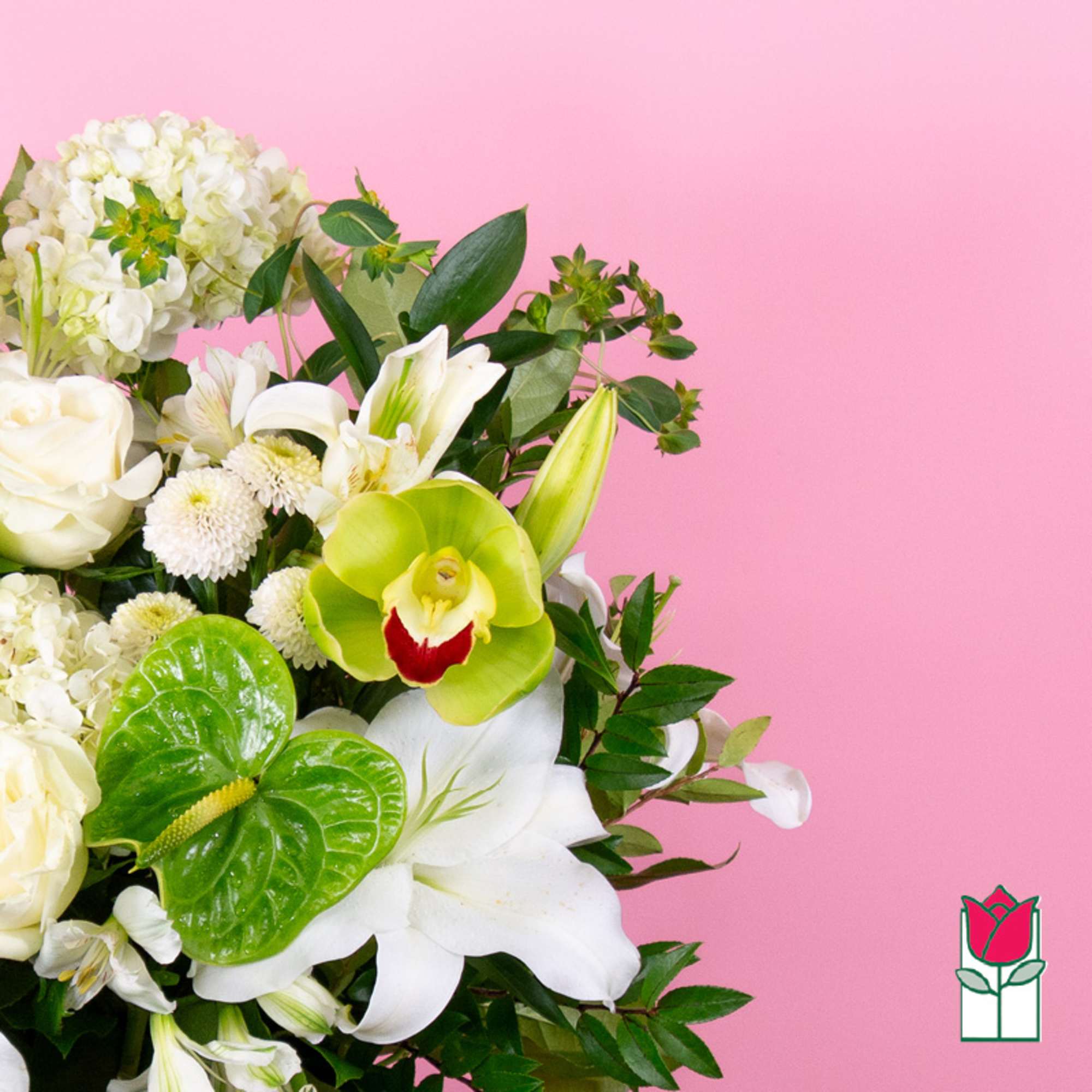 White floral bouquet with lilies, roses, and green orchid on a pink background