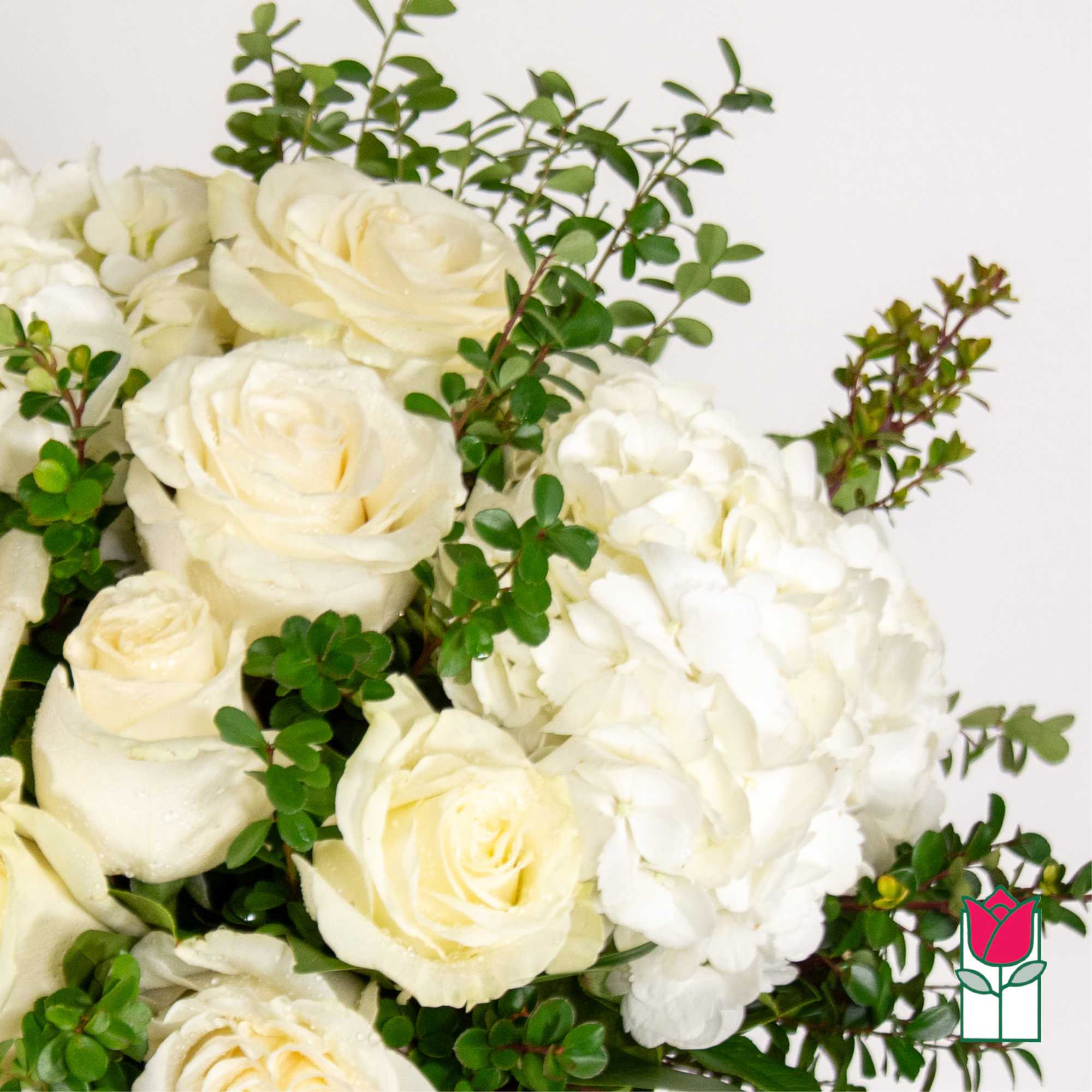 White roses and hydrangeas with green foliage