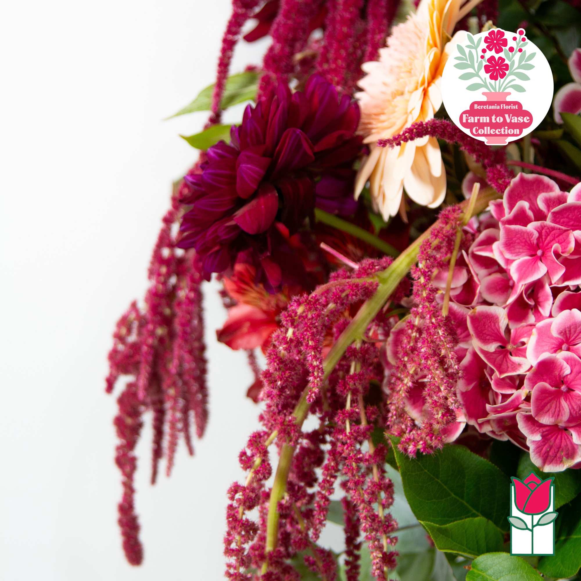 Close-up bouquet with magenta and pink flowers and cream blooms
