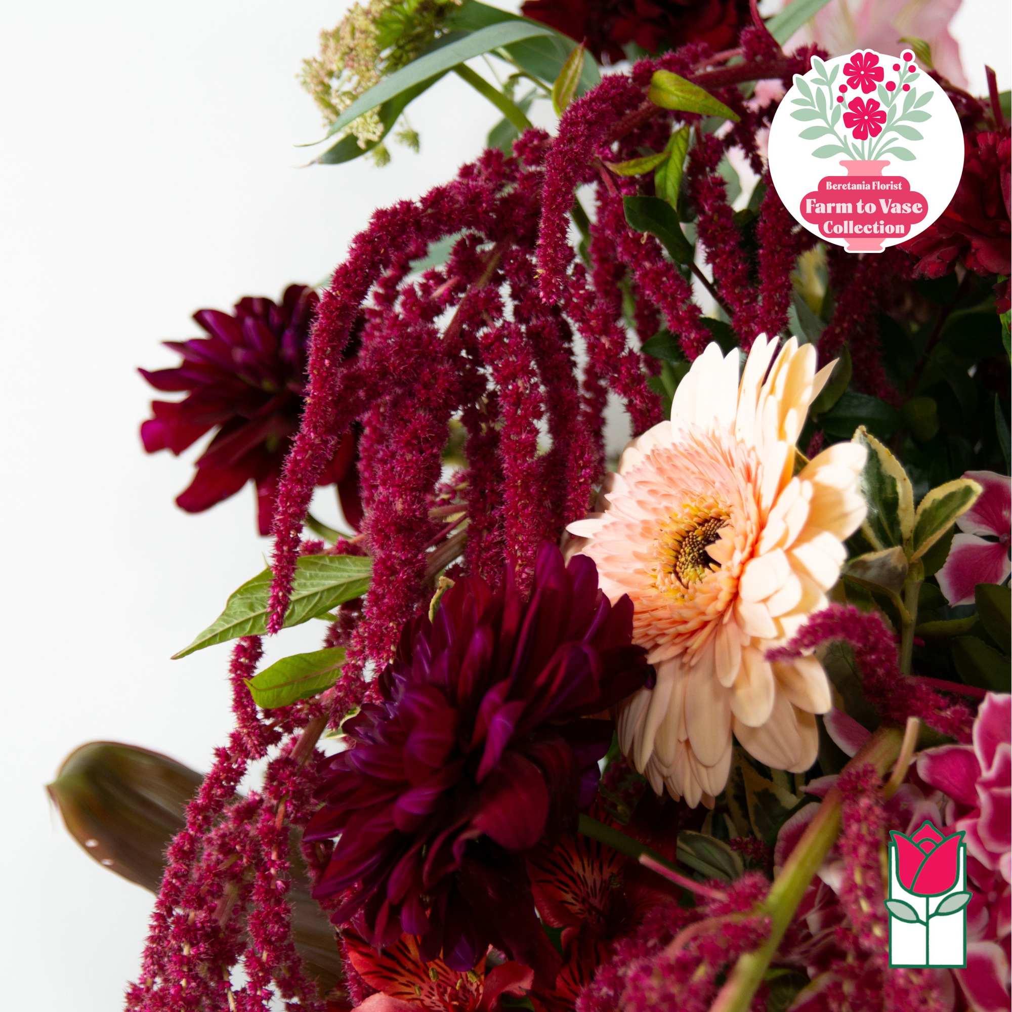 Bouquet with burgundy and peach flowers against a white background