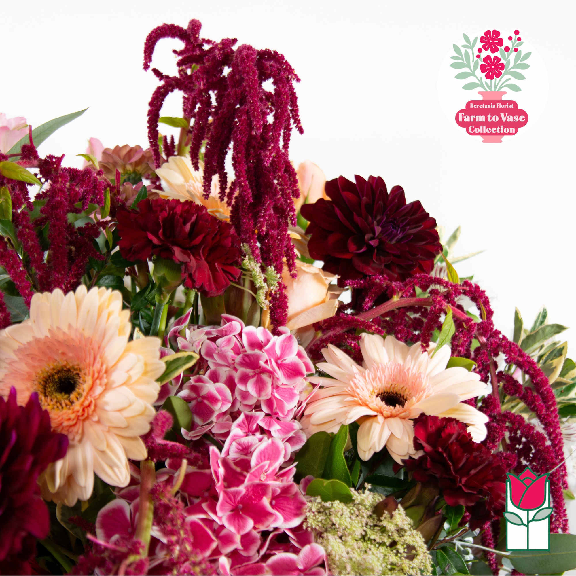 Mixed bouquet with burgundy and peach flowers on a white background
