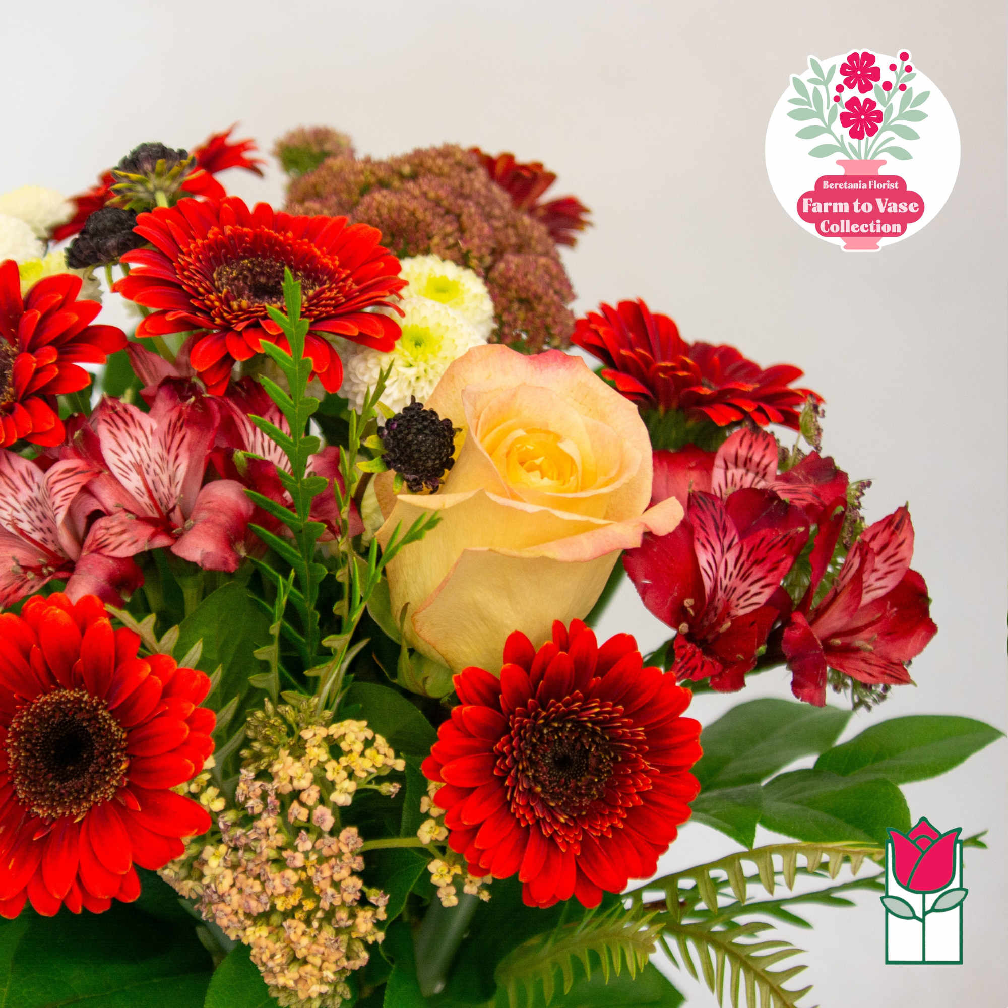 Bouquet of red gerbera daisies, a peach rose, and pink alstroemeria