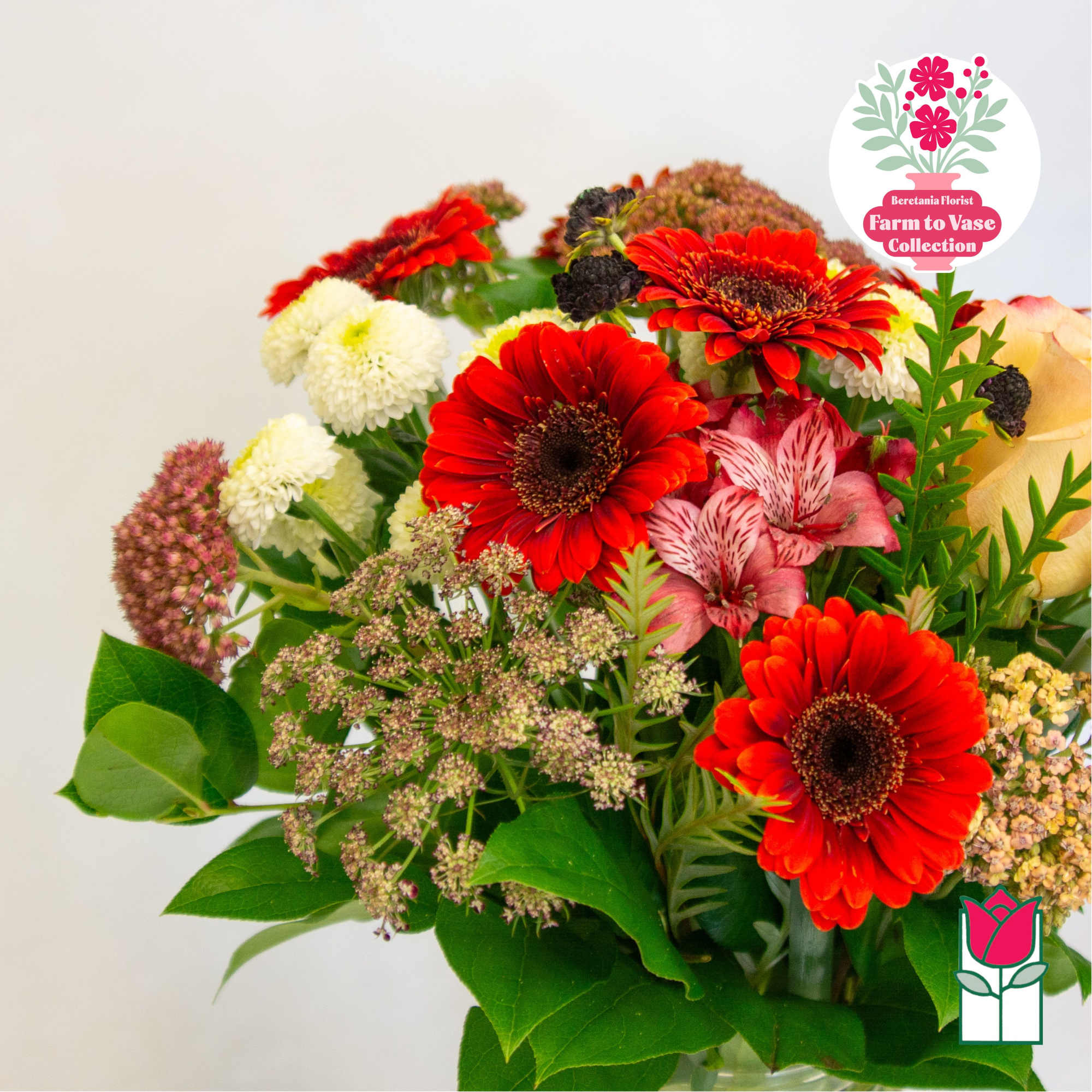 Bouquet of red gerbera daisies, pink alstroemeria, and white pom flowers