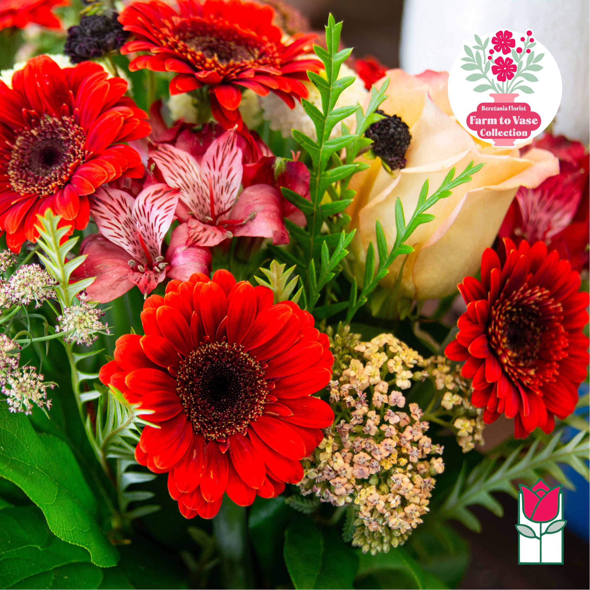 Bouquet of red gerbera daisies, pale roses, and pink alstroemeria