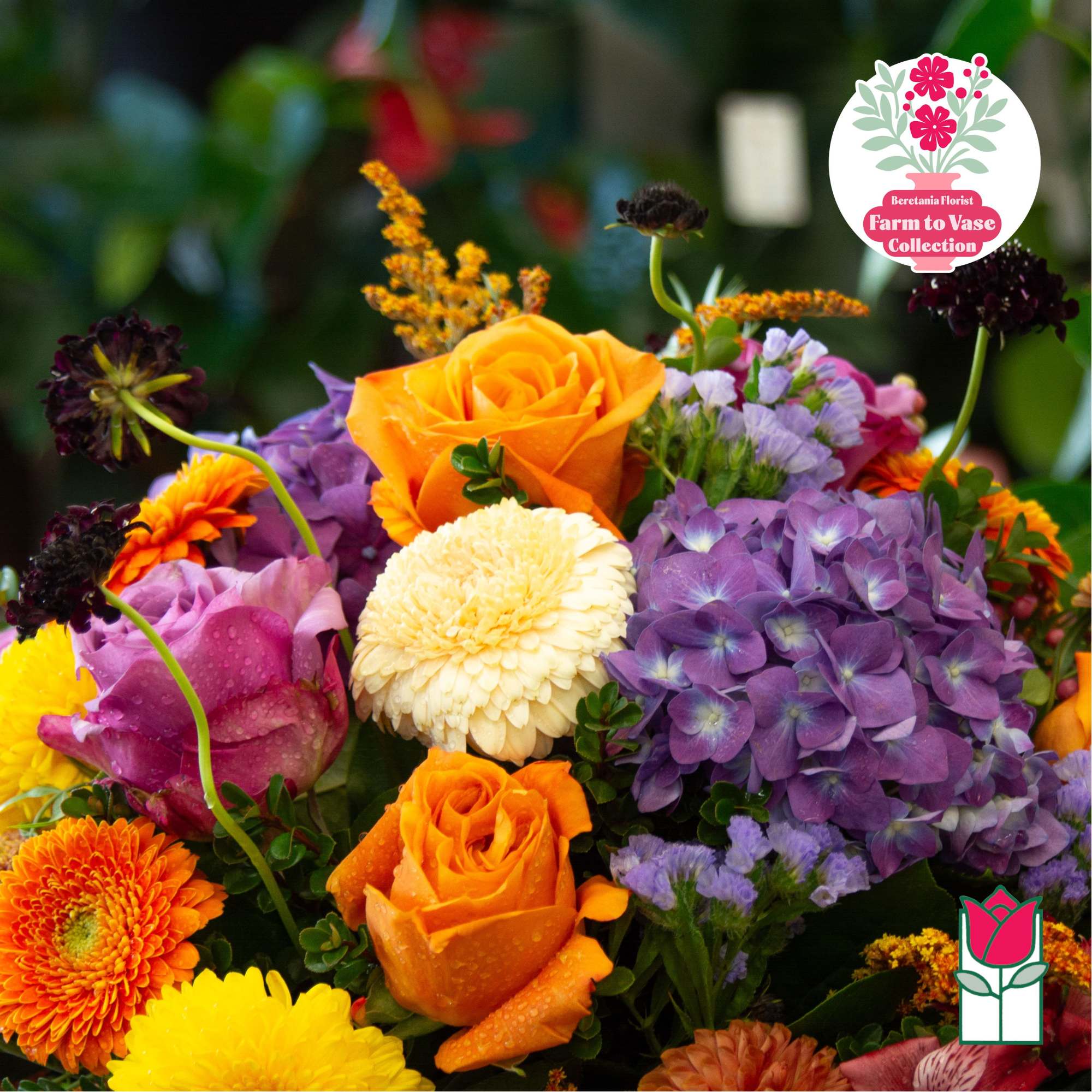 Mixed bouquet with orange roses, purple hydrangeas, and cream chrysanthemums