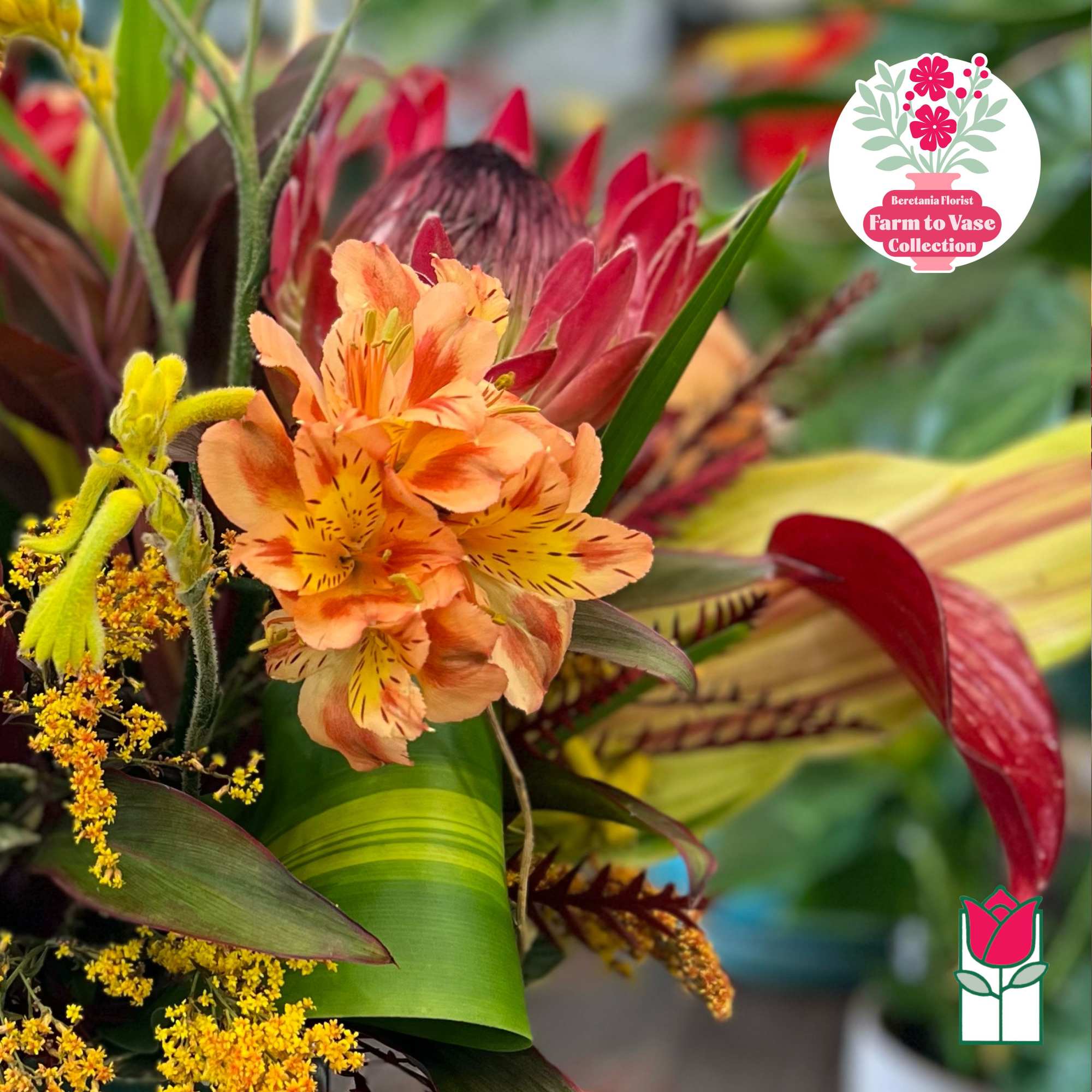 Tropical bouquet with orange alstroemeria and red protea