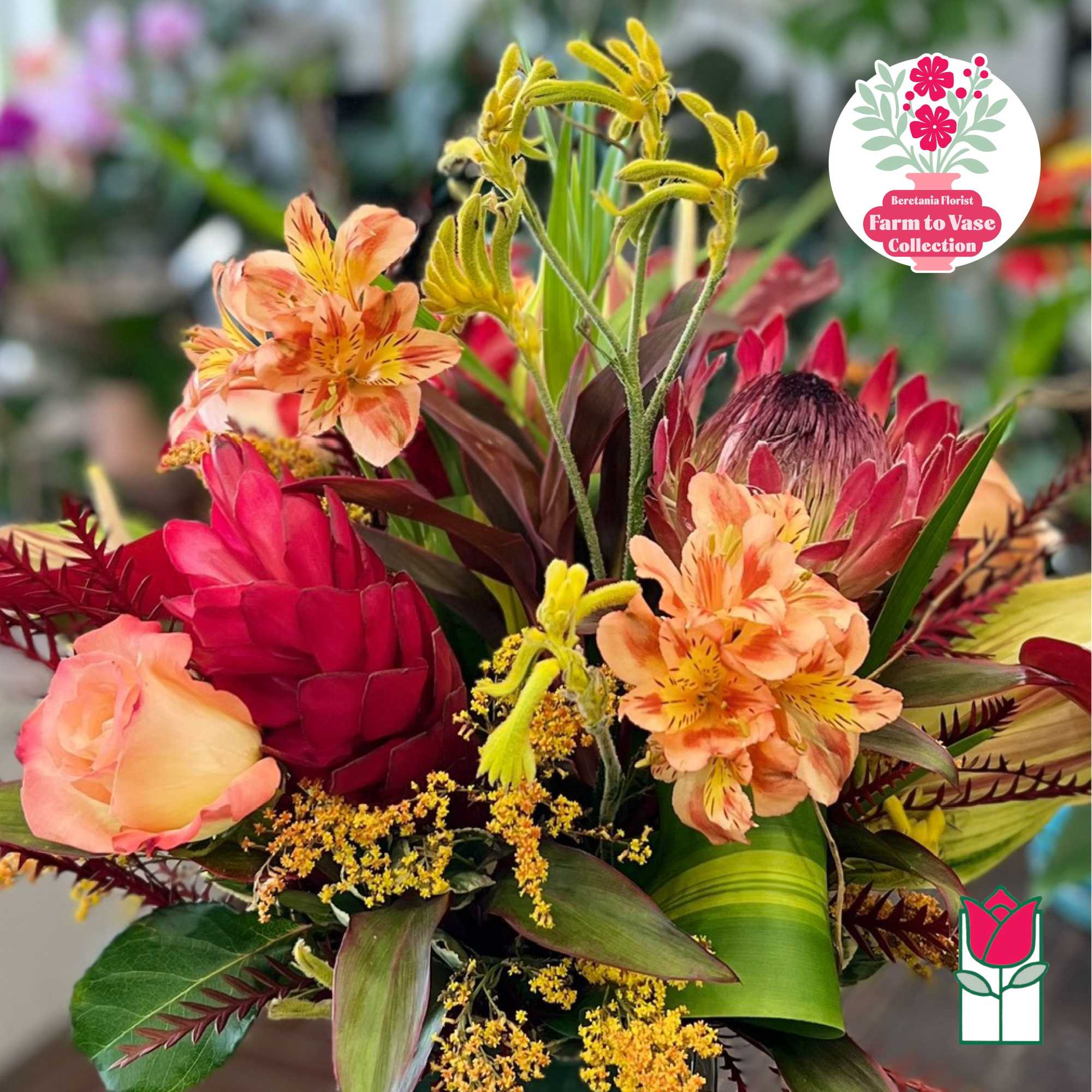 Tropical bouquet with peach alstroemeria, red protea, and yellow accents