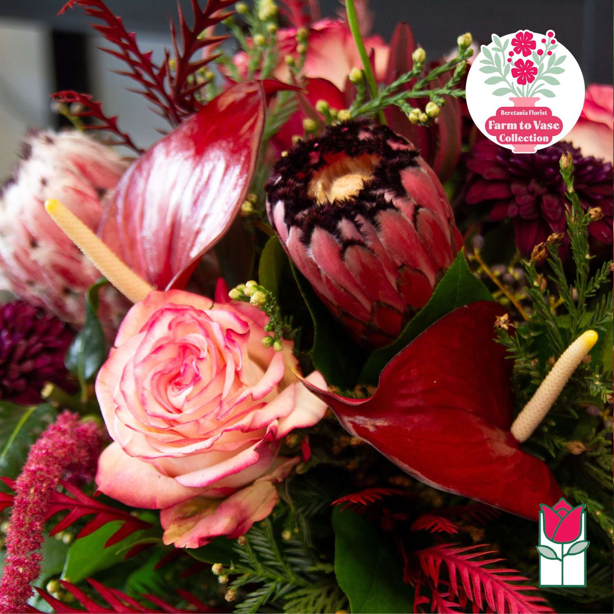Close-up bouquet with pink rose, protea, and burgundy blooms