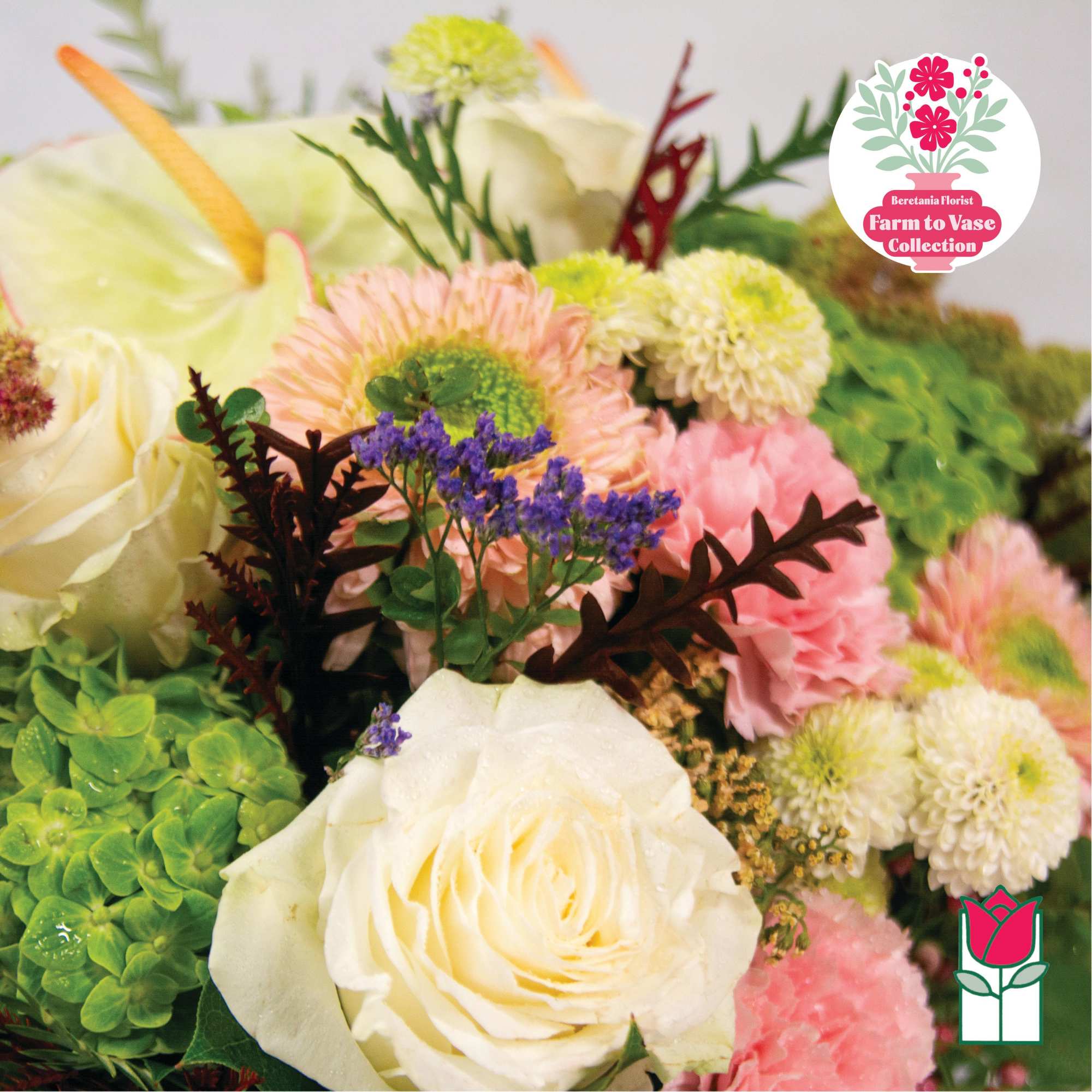 Mixed bouquet with white roses, pink blooms, and green hydrangeas