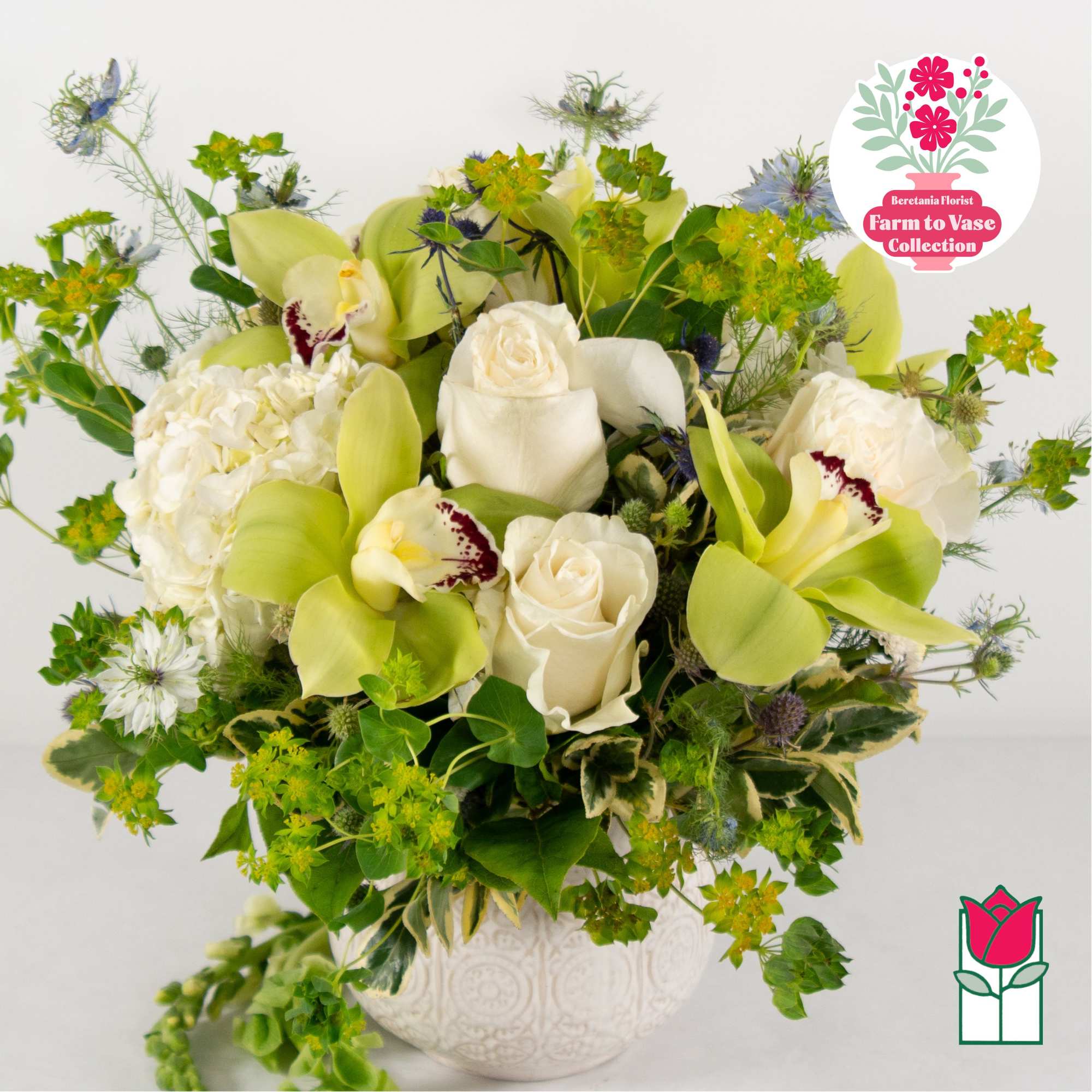 White roses and pale green orchids in a white vase