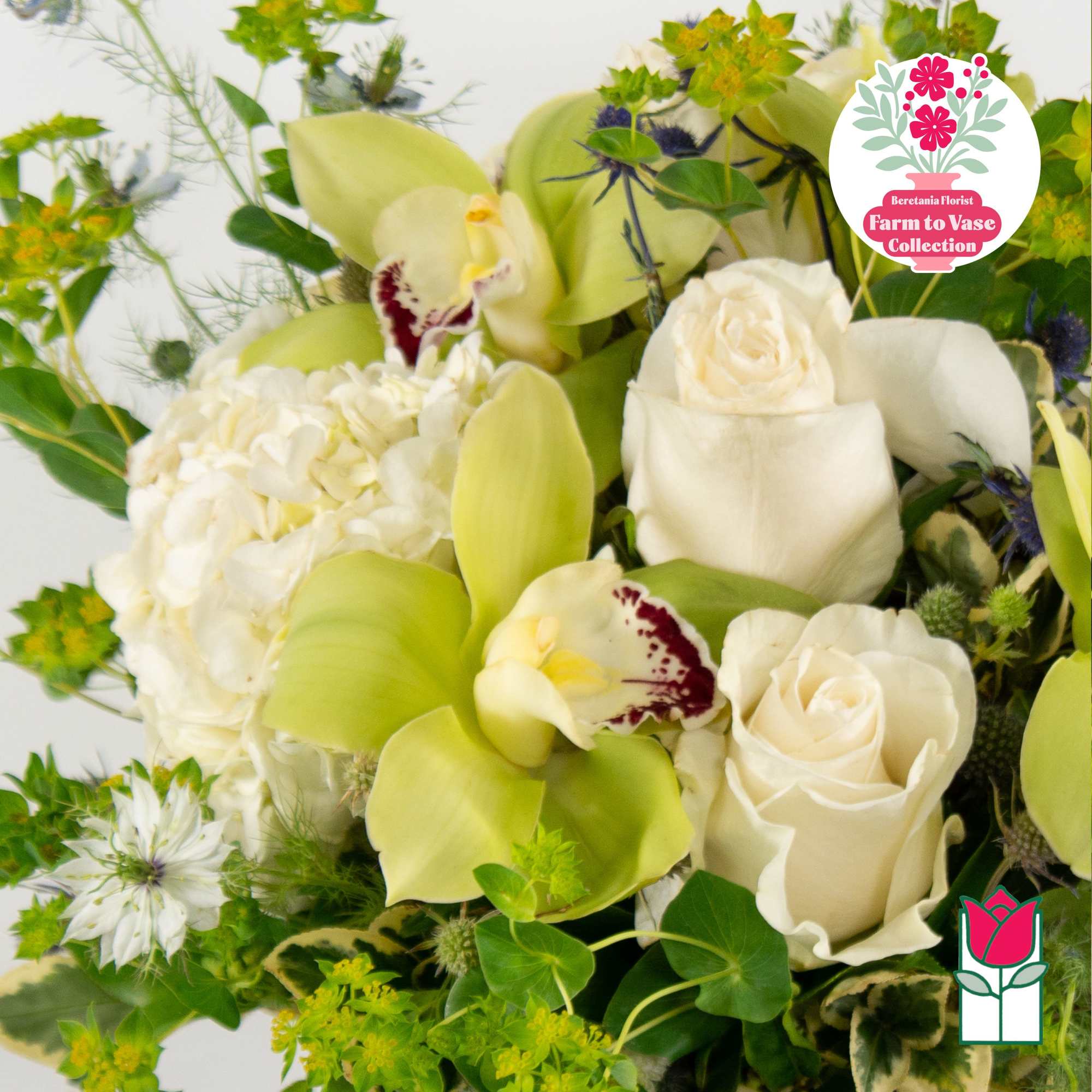 Bouquet of white roses, pale green orchids, and white hydrangea