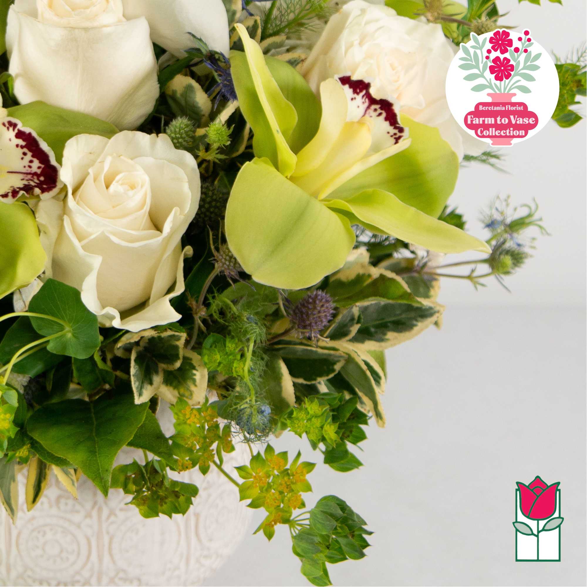 White roses and green calla lilies in a bouquet