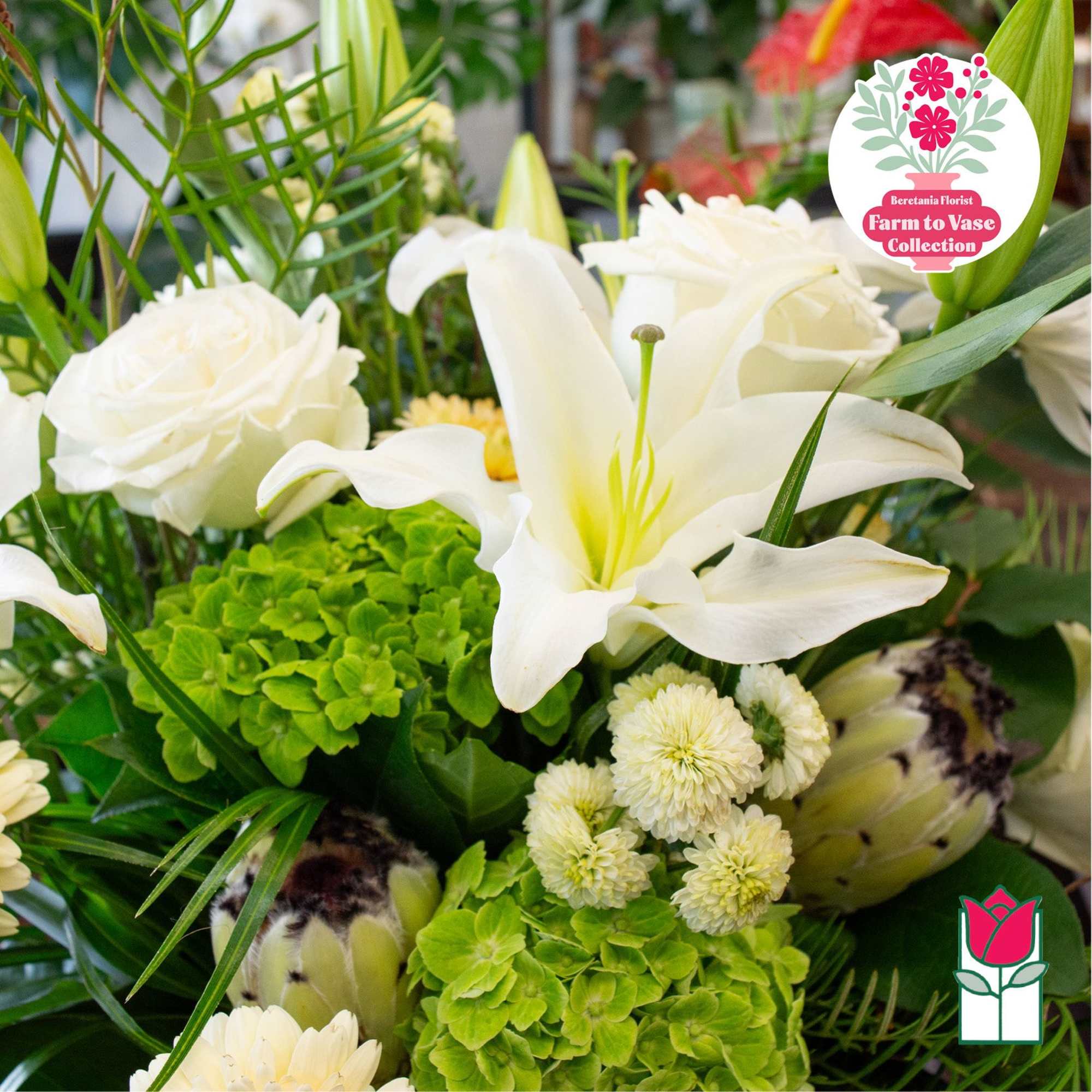 White lilies and roses arranged with green hydrangeas and small cream blooms
