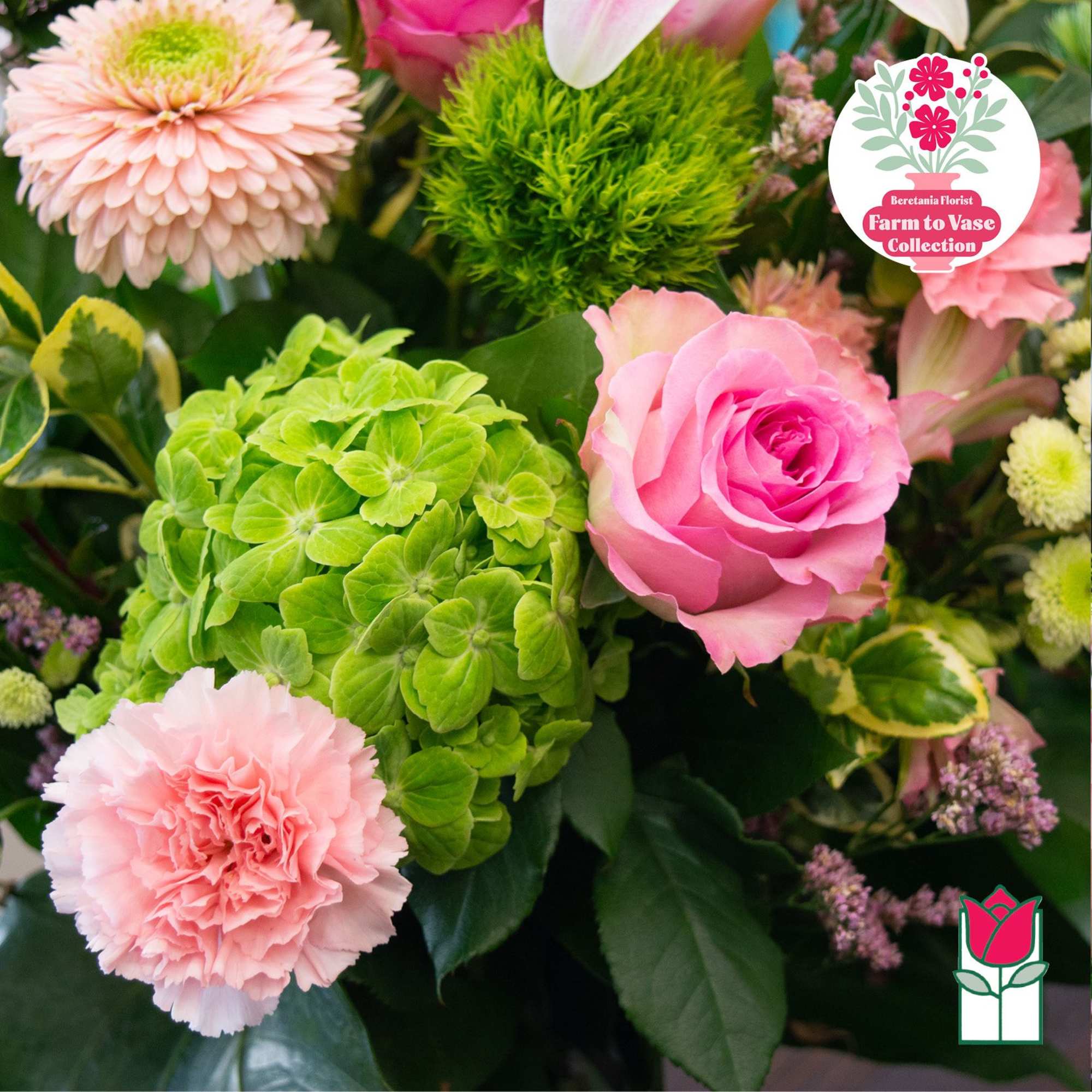 Pink roses, green hydrangea, and pale pink carnations in a mixed bouquet
