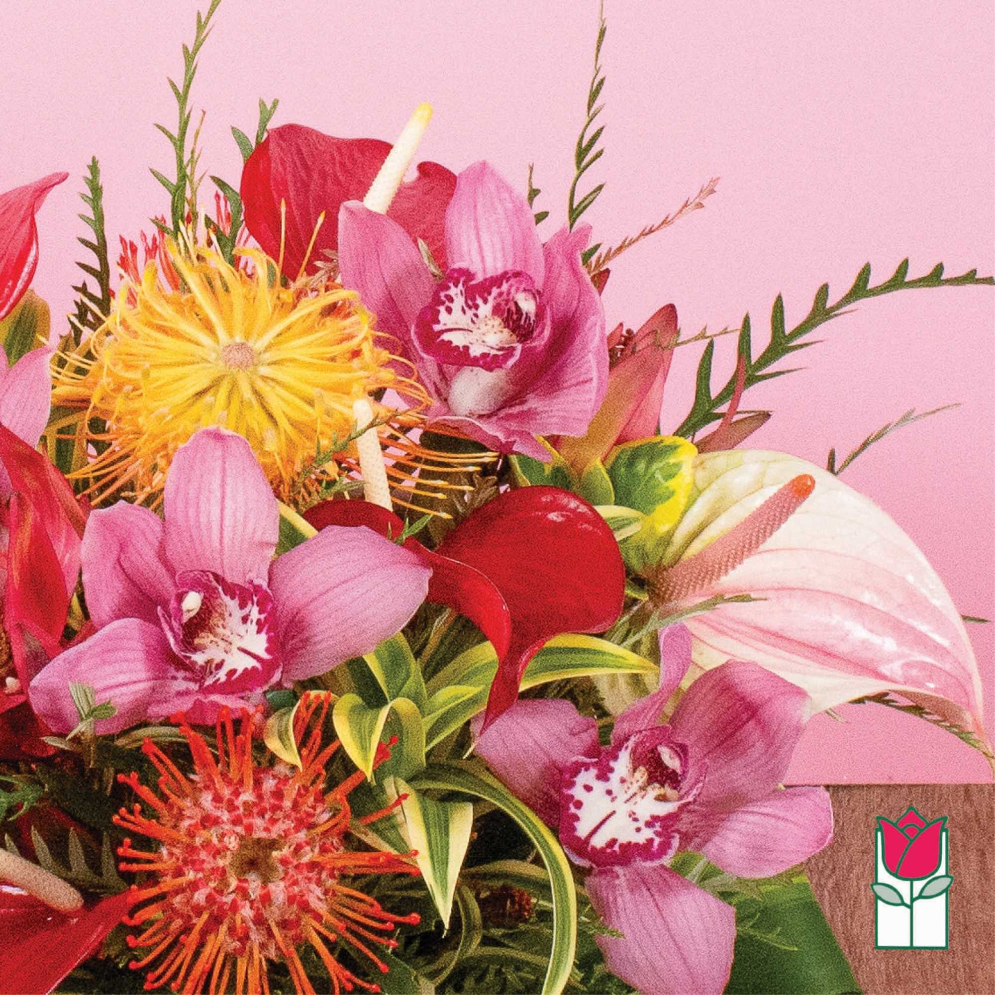 Bright tropical arrangement with pink orchids, red calla lilies, pincushion protea, and anthurium on a pink background