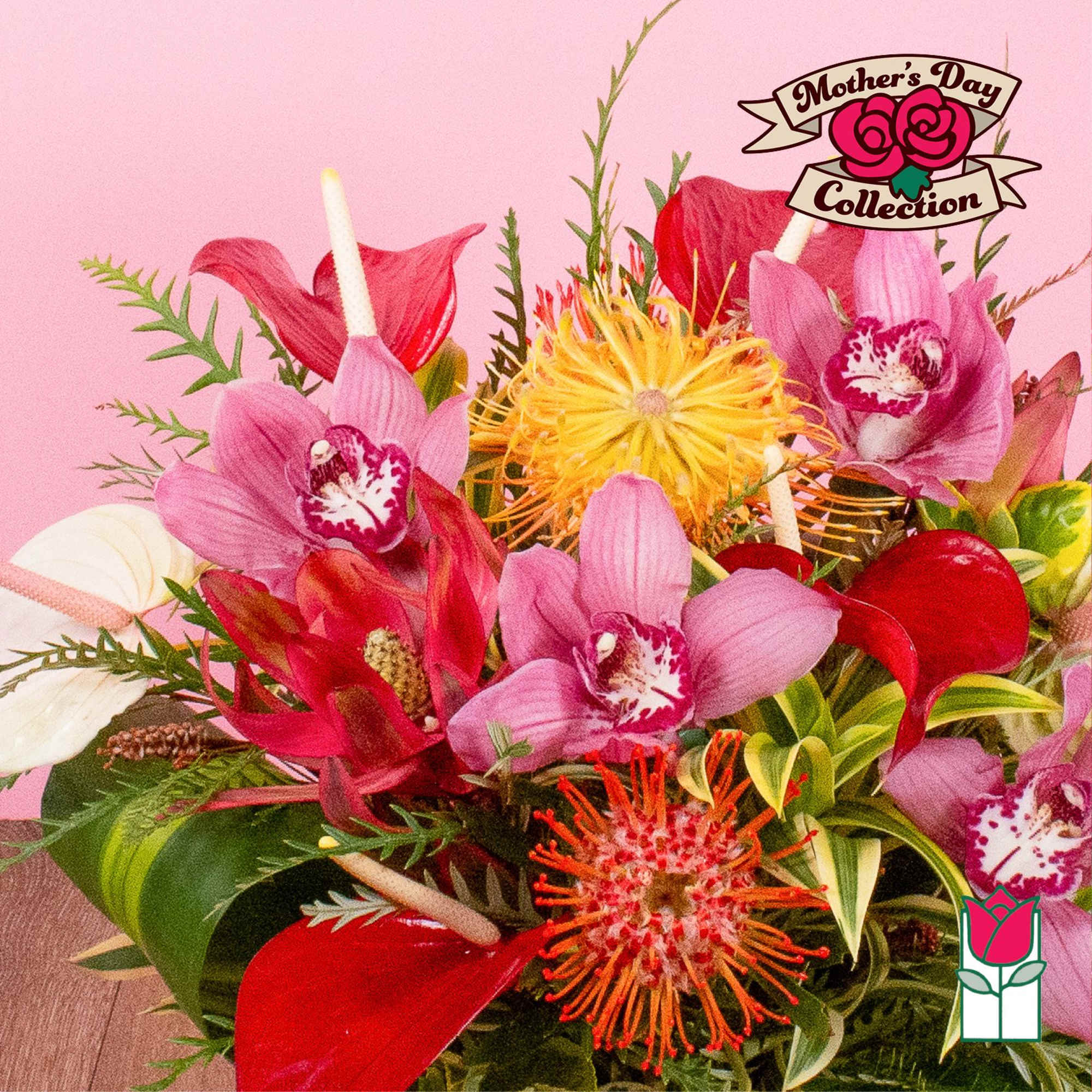 Bright arrangement of pink orchids, red tropical blooms and yellow-orange pincushion proteas on a pink background