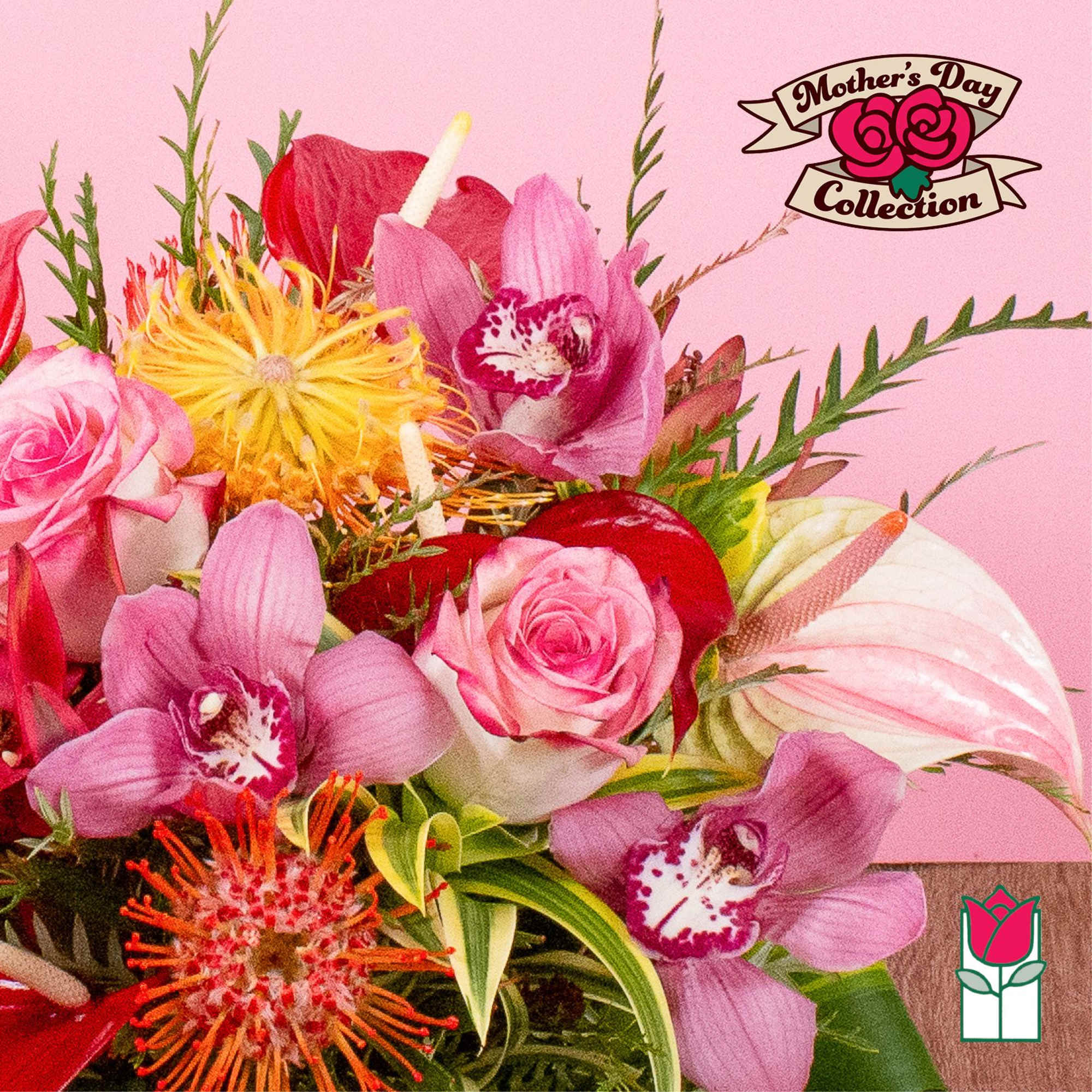 Bright bouquet of pink roses, orchids, red anthuriums, and orange pincushion protea on a pink background.