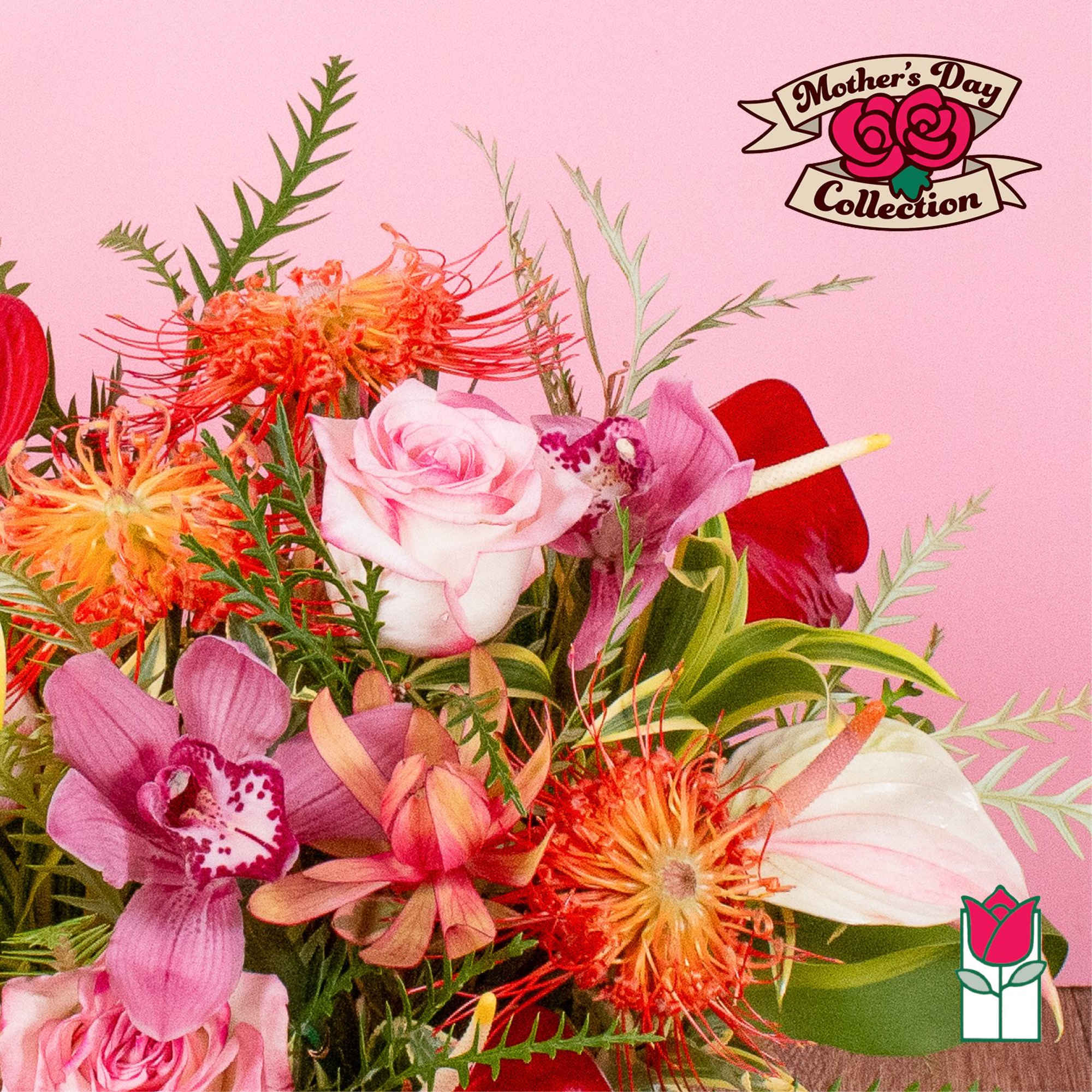 Colorful bouquet of pink roses, orchids, and orange protea against a pink background.