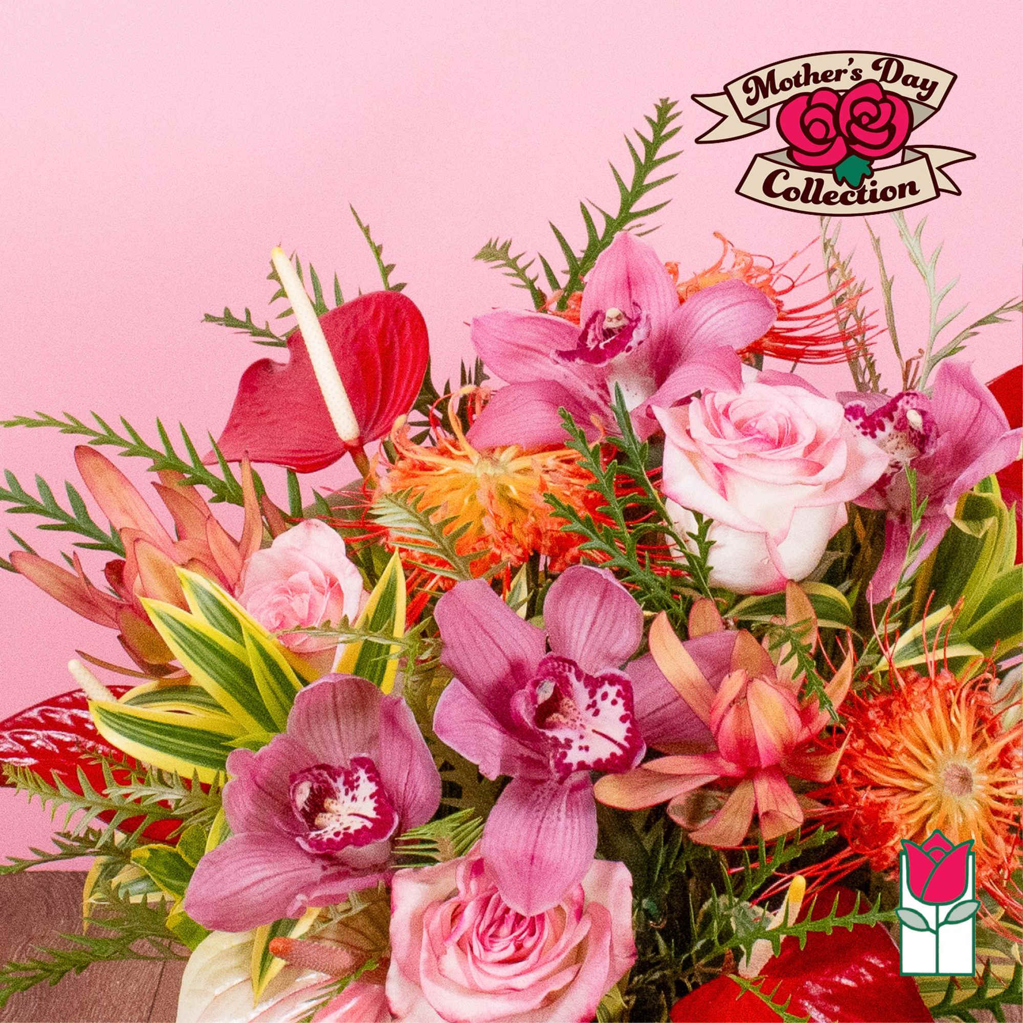 Colorful bouquet of pink roses, cymbidium orchids, red anthurium and orange blooms against a pink background