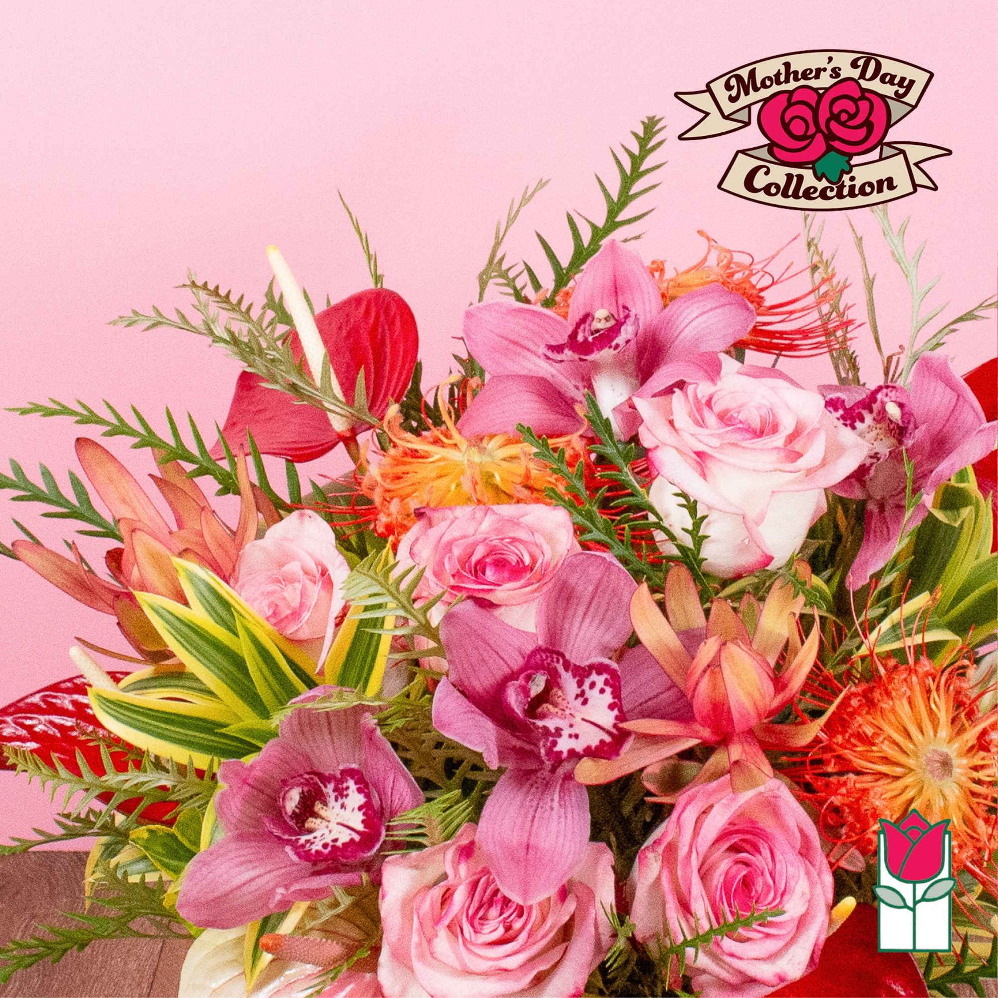 Bright bouquet of pink roses, orchids, and orange protea against a pink background
