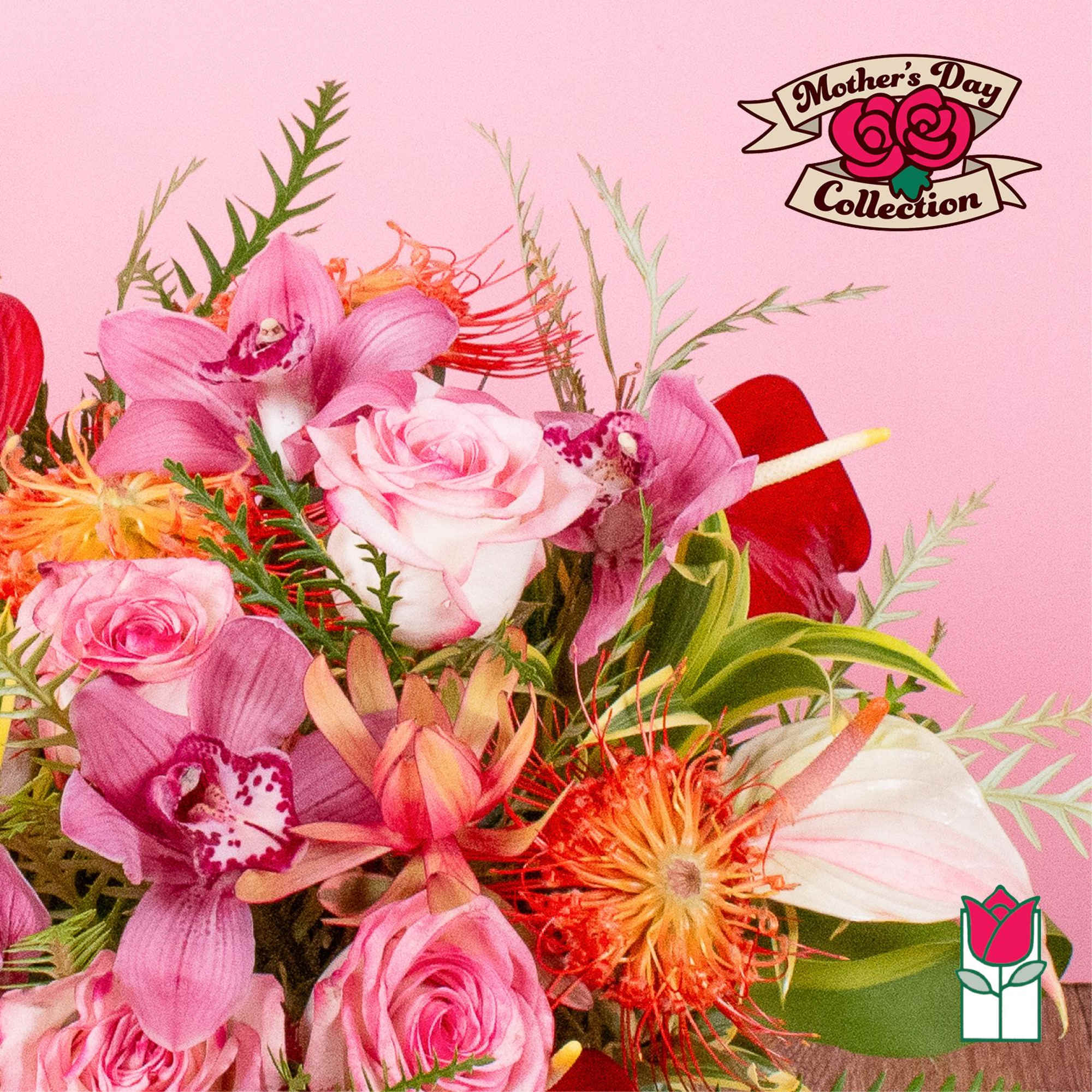 Arrangement of pink roses, orchids, and orange protea with red and white anthuriums on a pink background