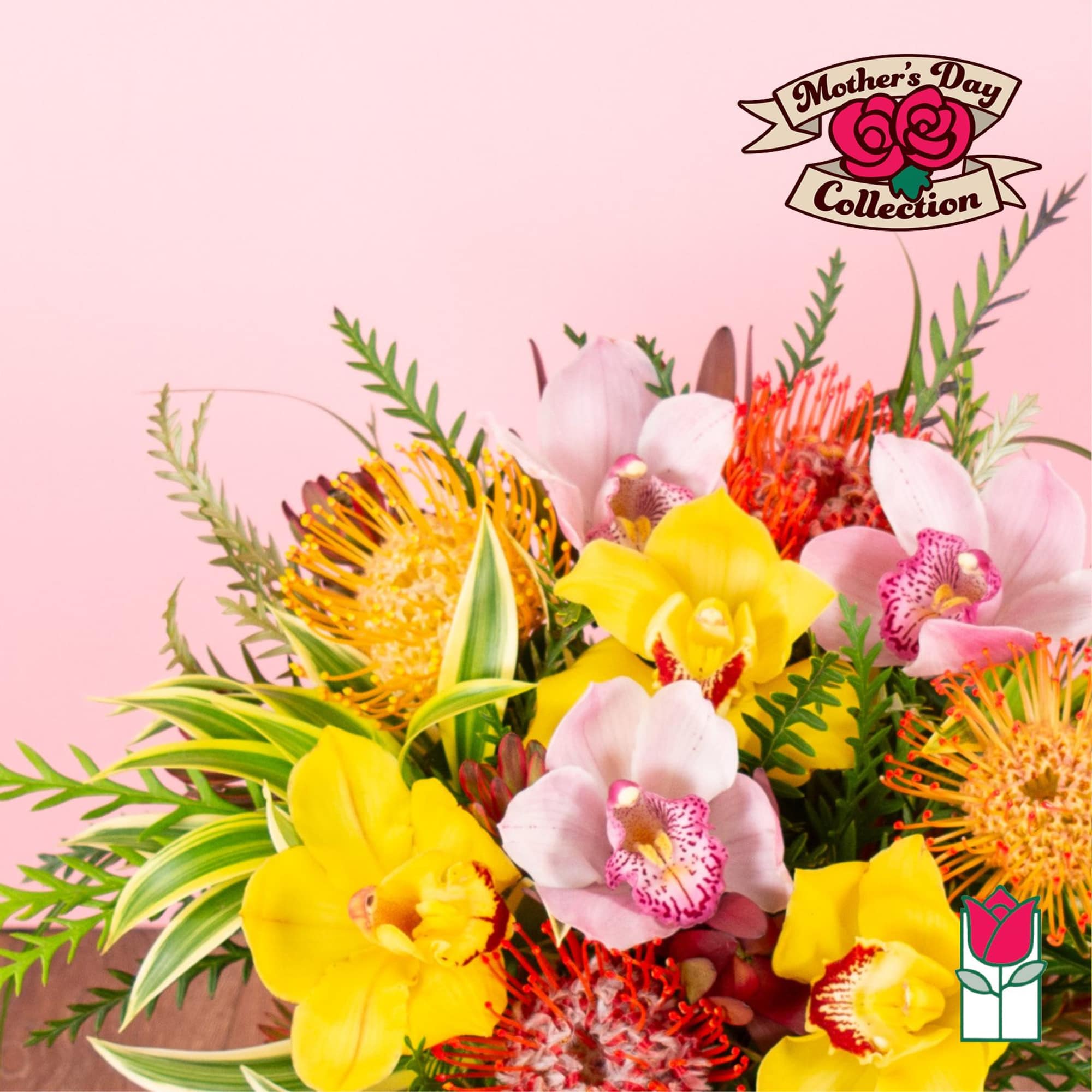 Bright bouquet of yellow and pink orchids with orange protea against a pink background