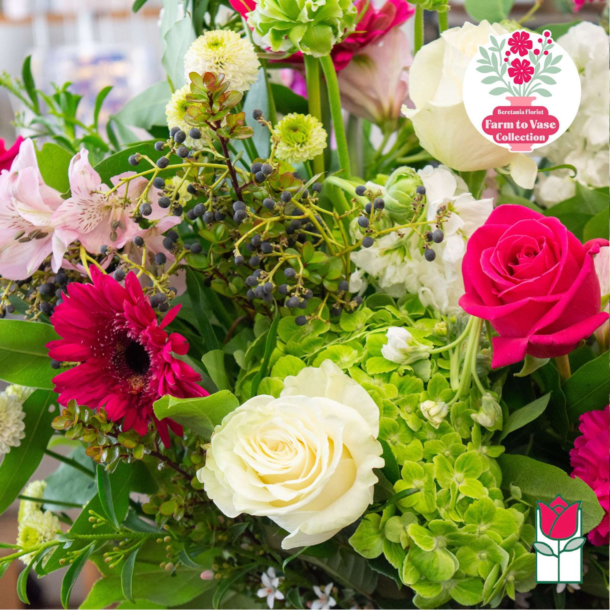 Mixed bouquet with pink and white roses, green hydrangeas, and magenta gerbera daisies