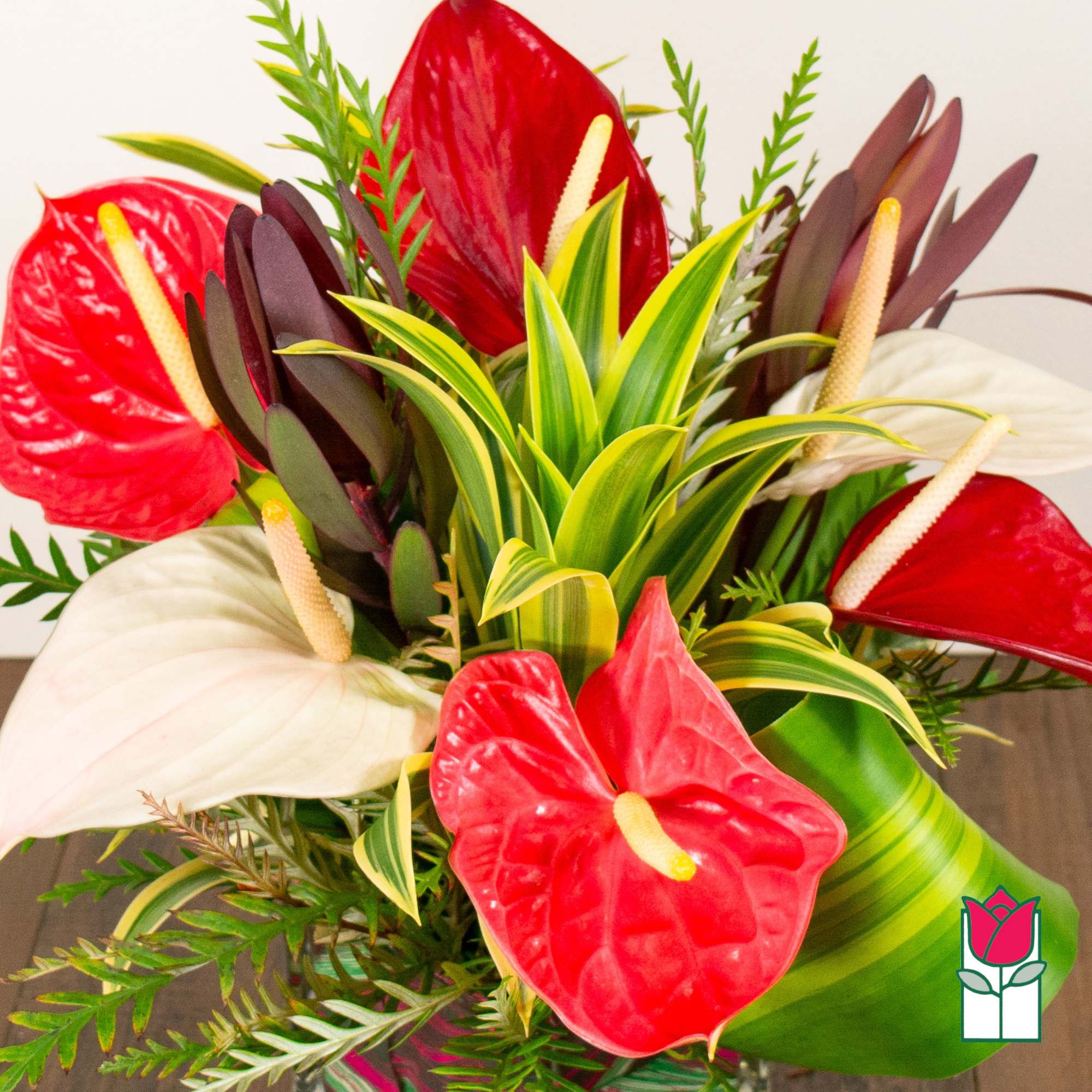 Bouquet of red, white, and dark purple anthuriums with variegated foliage