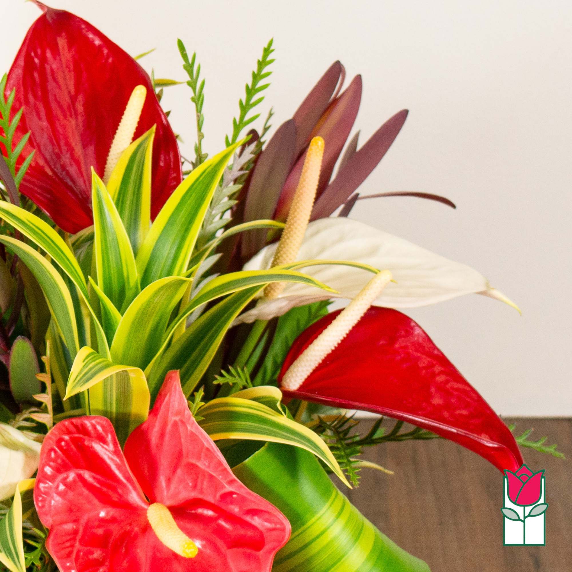 Arrangement of red and white anthuriums with variegated tropical foliage