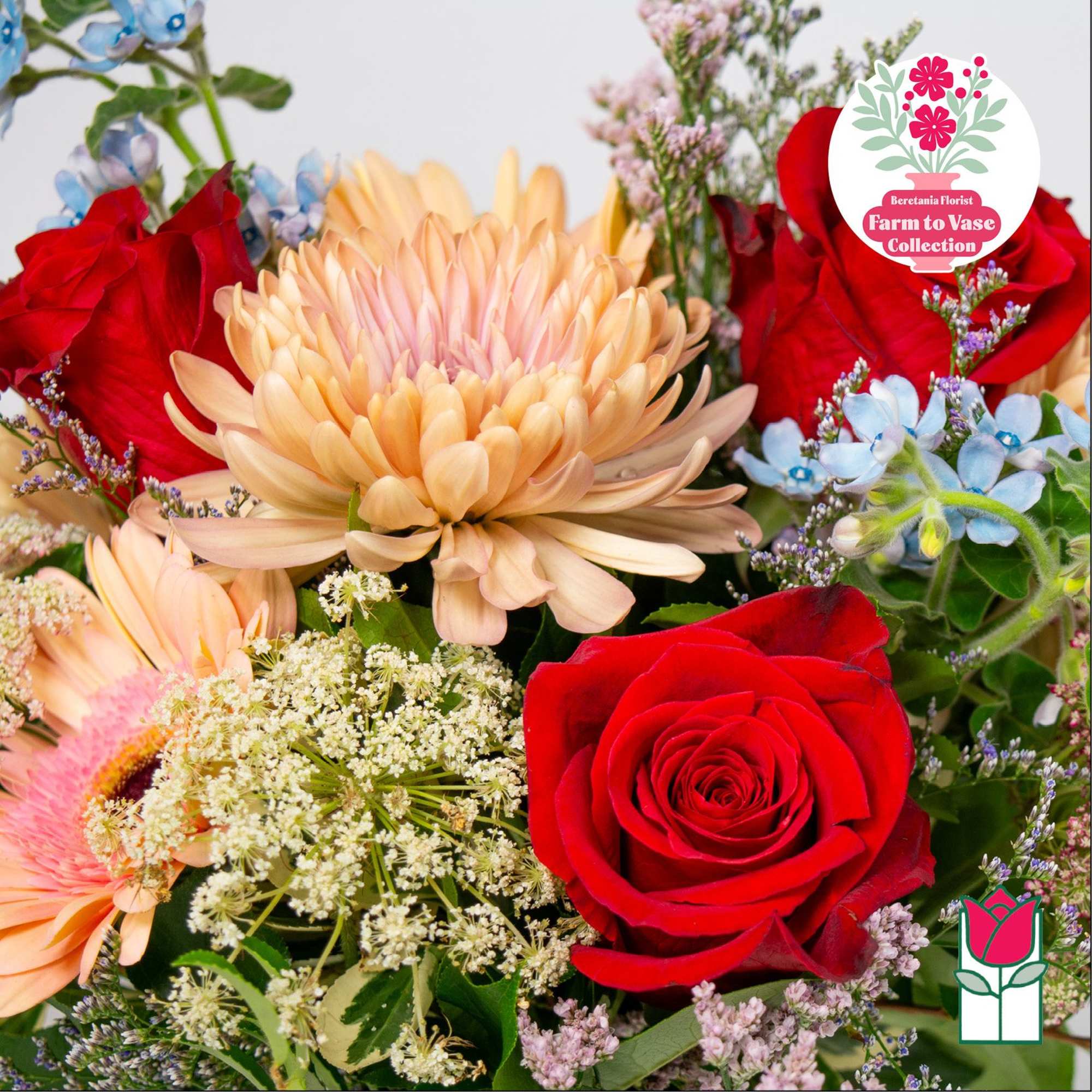 Bouquet of red roses and peach chrysanthemums with blue accents