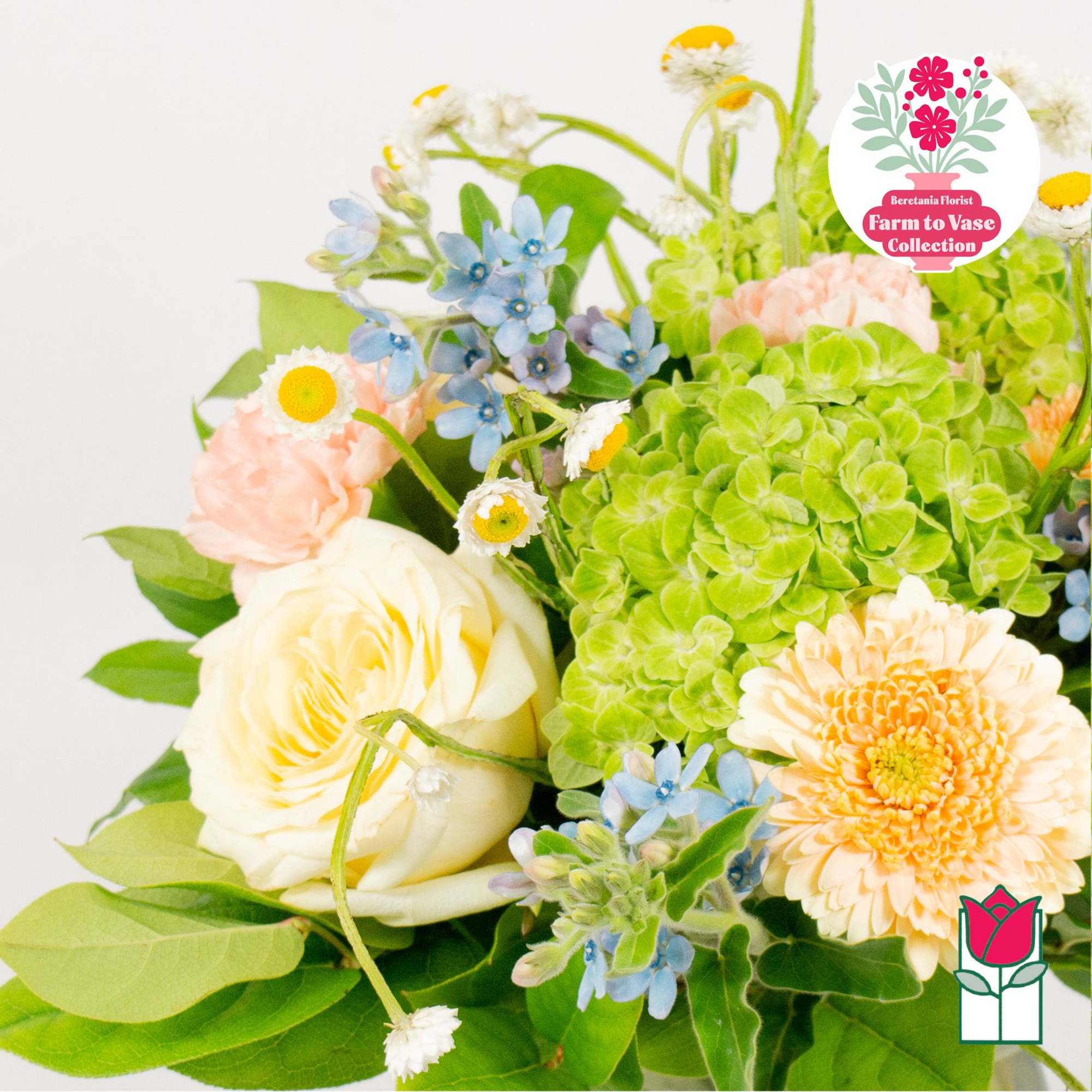 Bouquet with cream roses, green hydrangea, and blue flowers