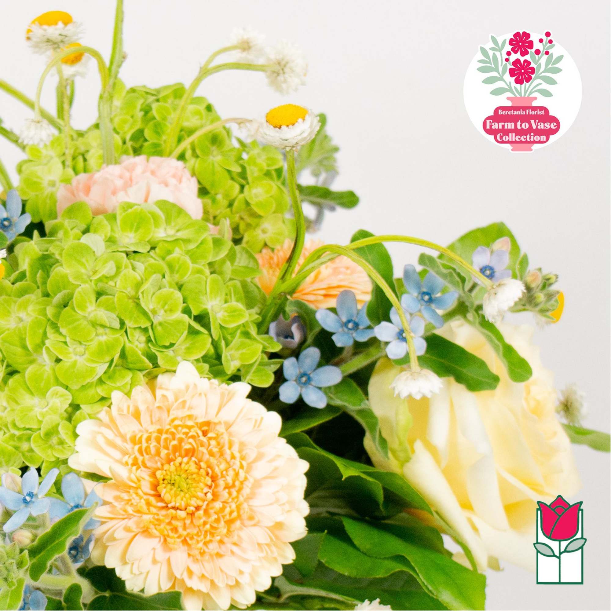 Bouquet with green hydrangea, peach blooms, and blue flowers
