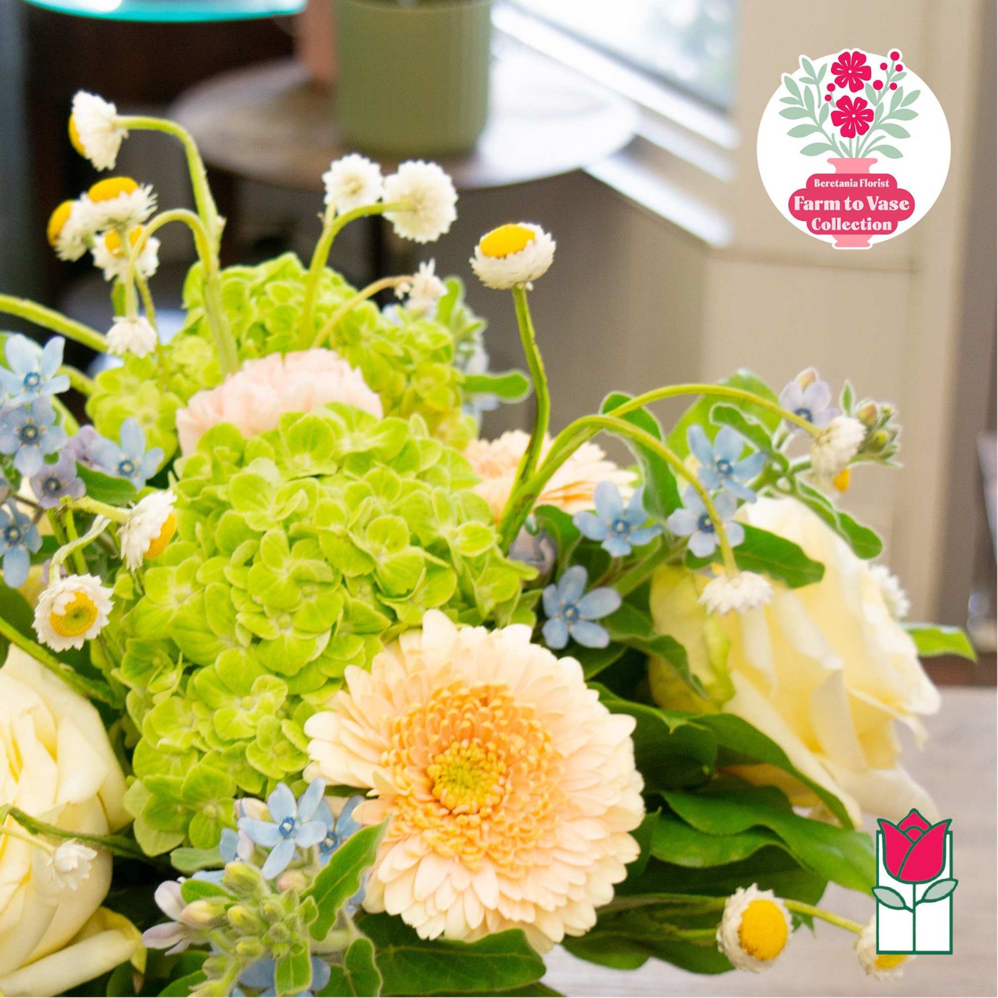 Bouquet with green hydrangea, peach gerbera daisies, and white roses
