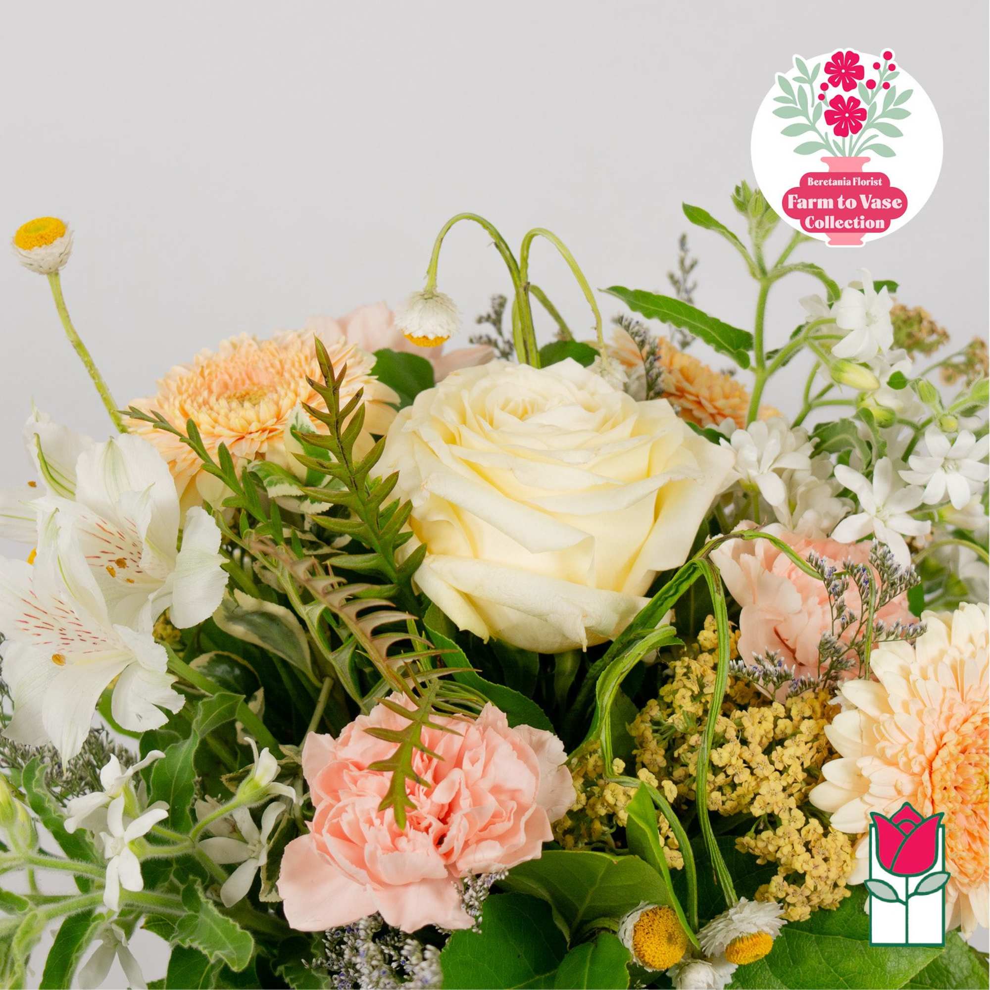 Mixed bouquet with a cream rose, peach carnations, and white alstroemeria