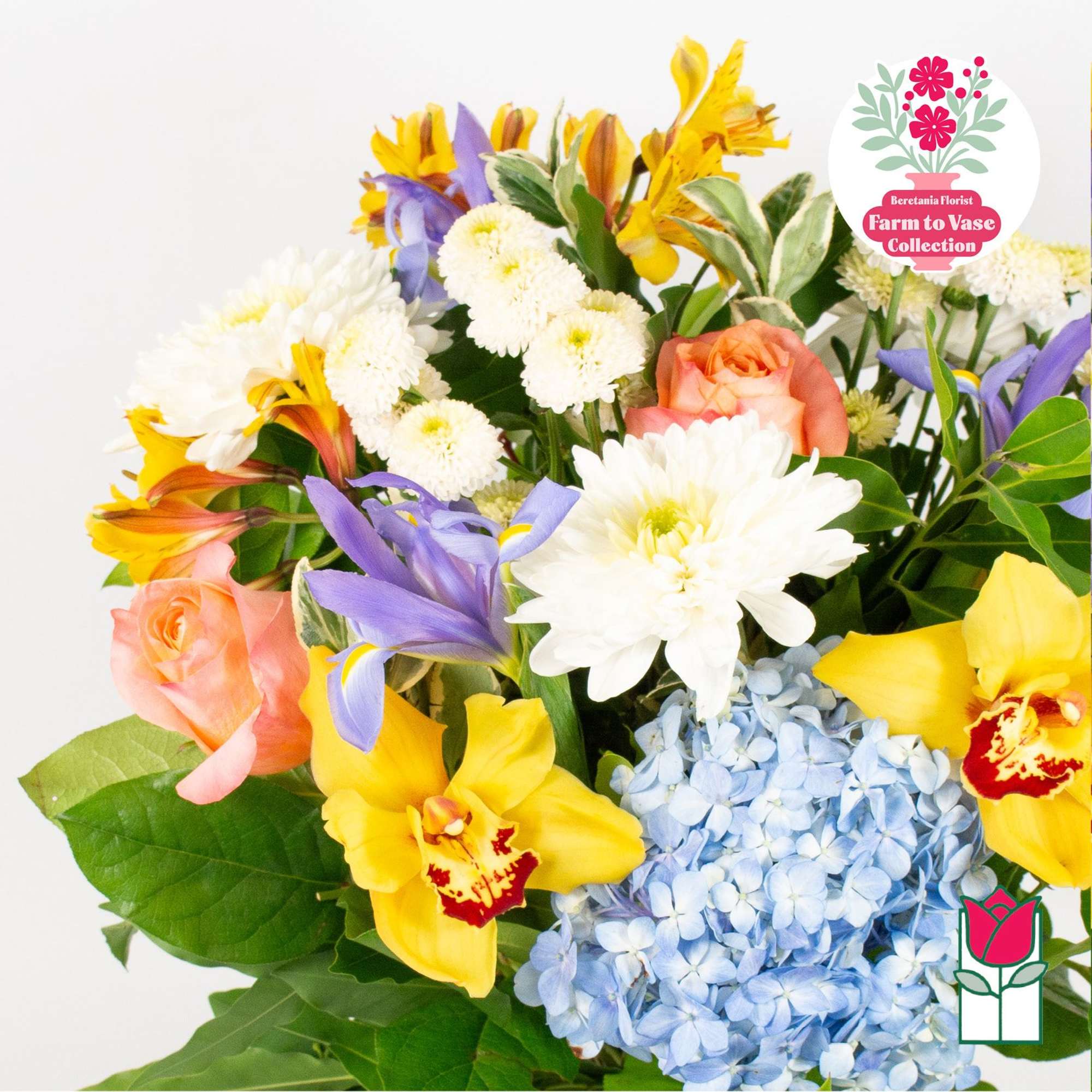 Mixed bouquet with yellow orchids, pink roses, white mums, and blue hydrangea