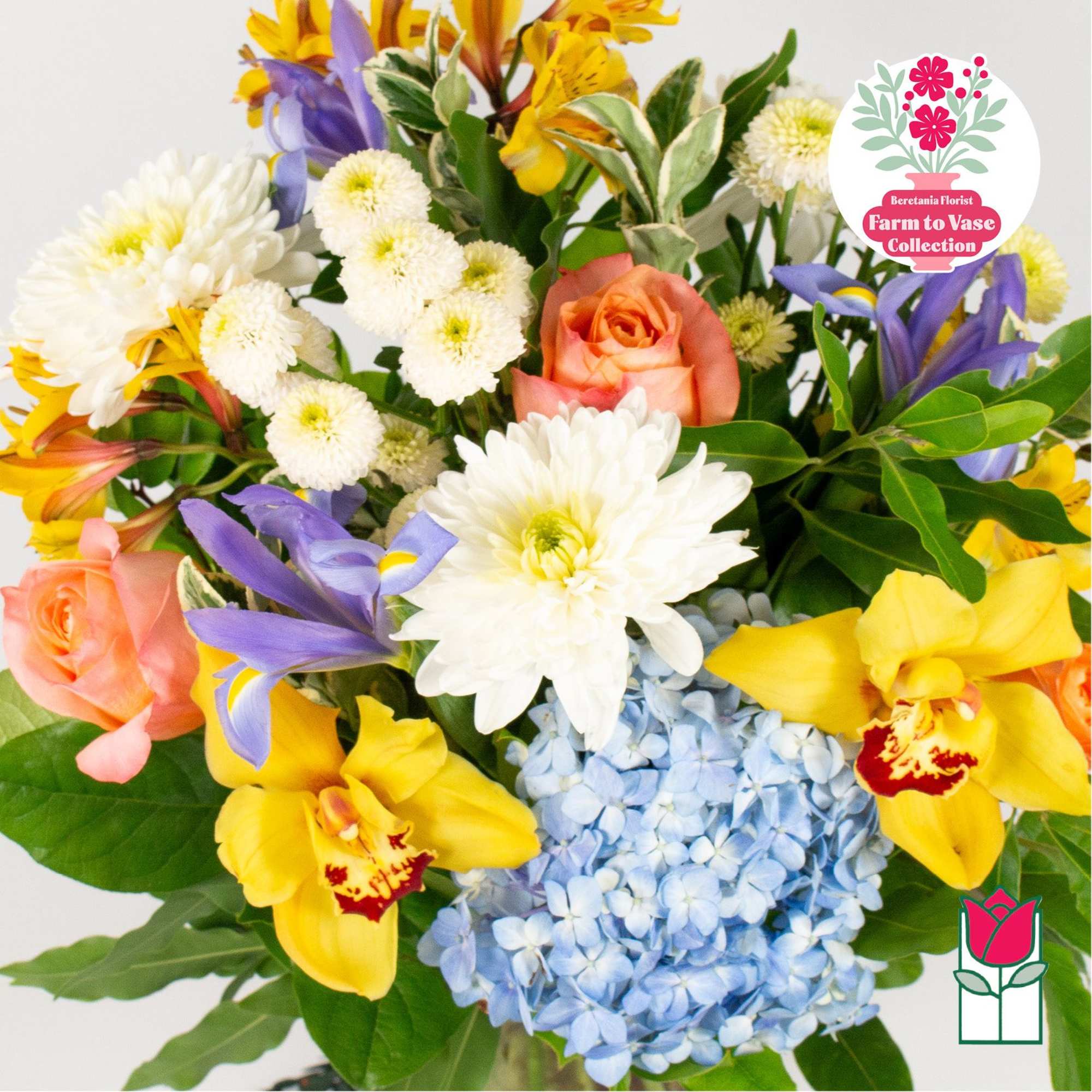 Mixed bouquet with roses, hydrangea, orchids, and daisies