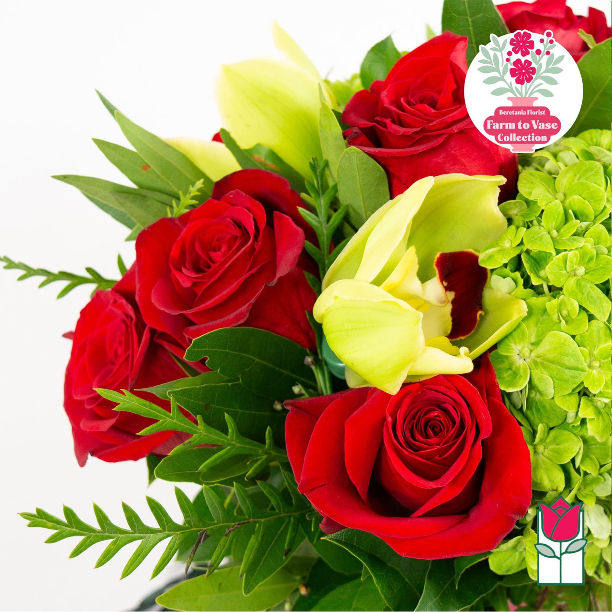 Bouquet of red roses, pale yellow calla lilies, and green hydrangeas