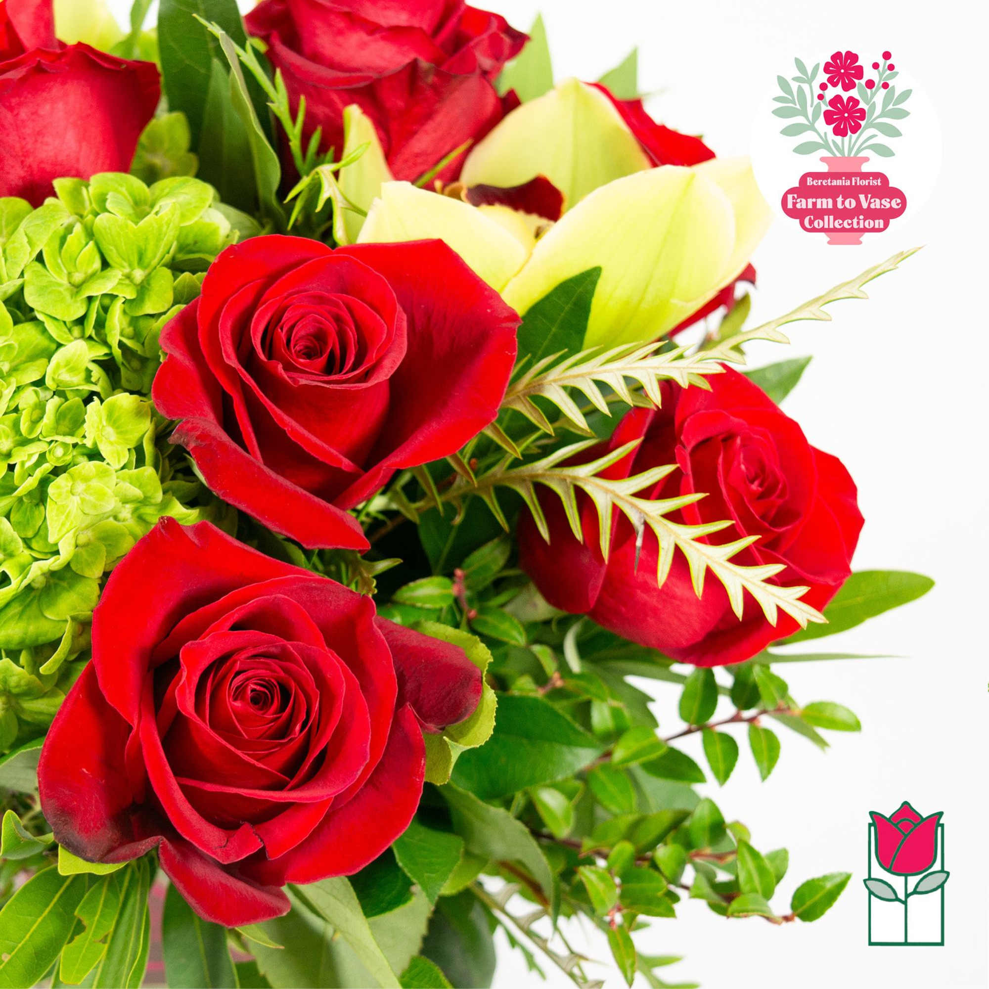 Bouquet of red and pale yellow roses with green hydrangea