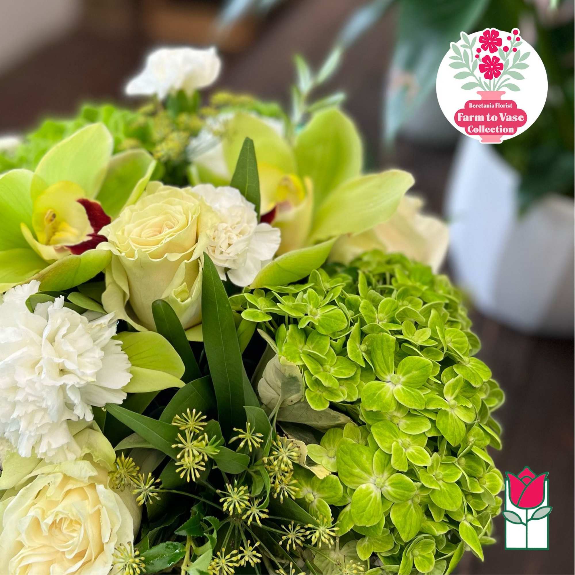 Bouquet of cream roses, white carnations, and green orchids with bright green hydrangea