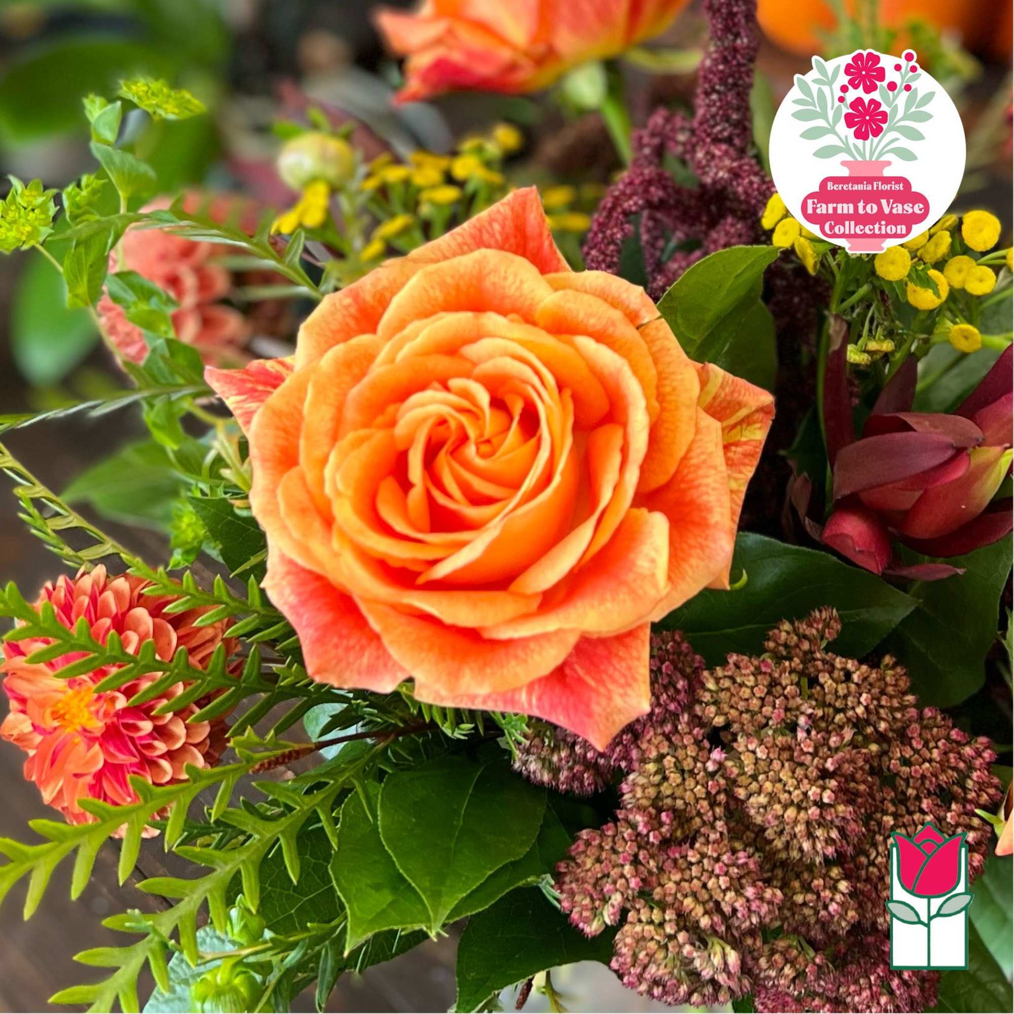 Close-up bouquet with an orange rose and mixed pink, yellow, and purple flowers