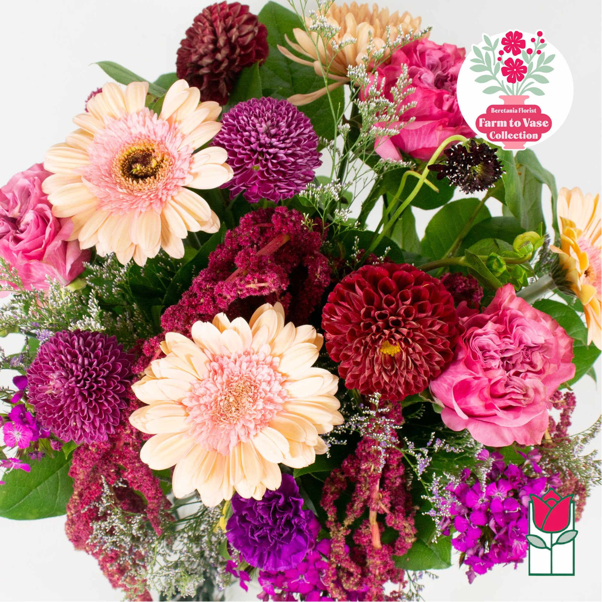 Mixed bouquet with pink roses and cream gerbera daisies