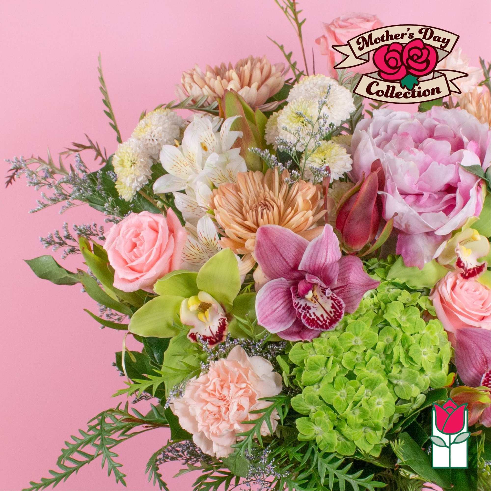 Pastel bouquet with pink roses, orchids, carnations, hydrangea and mums on a pink background