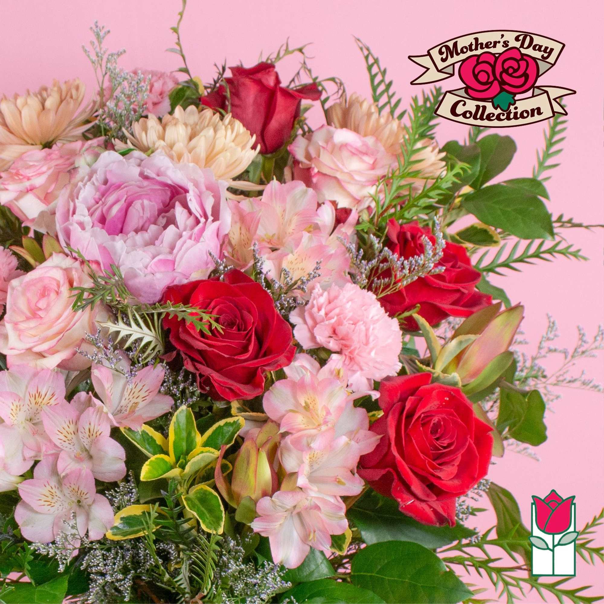 Mixed bouquet of red roses, pink peony, carnations and alstroemeria against a pink background