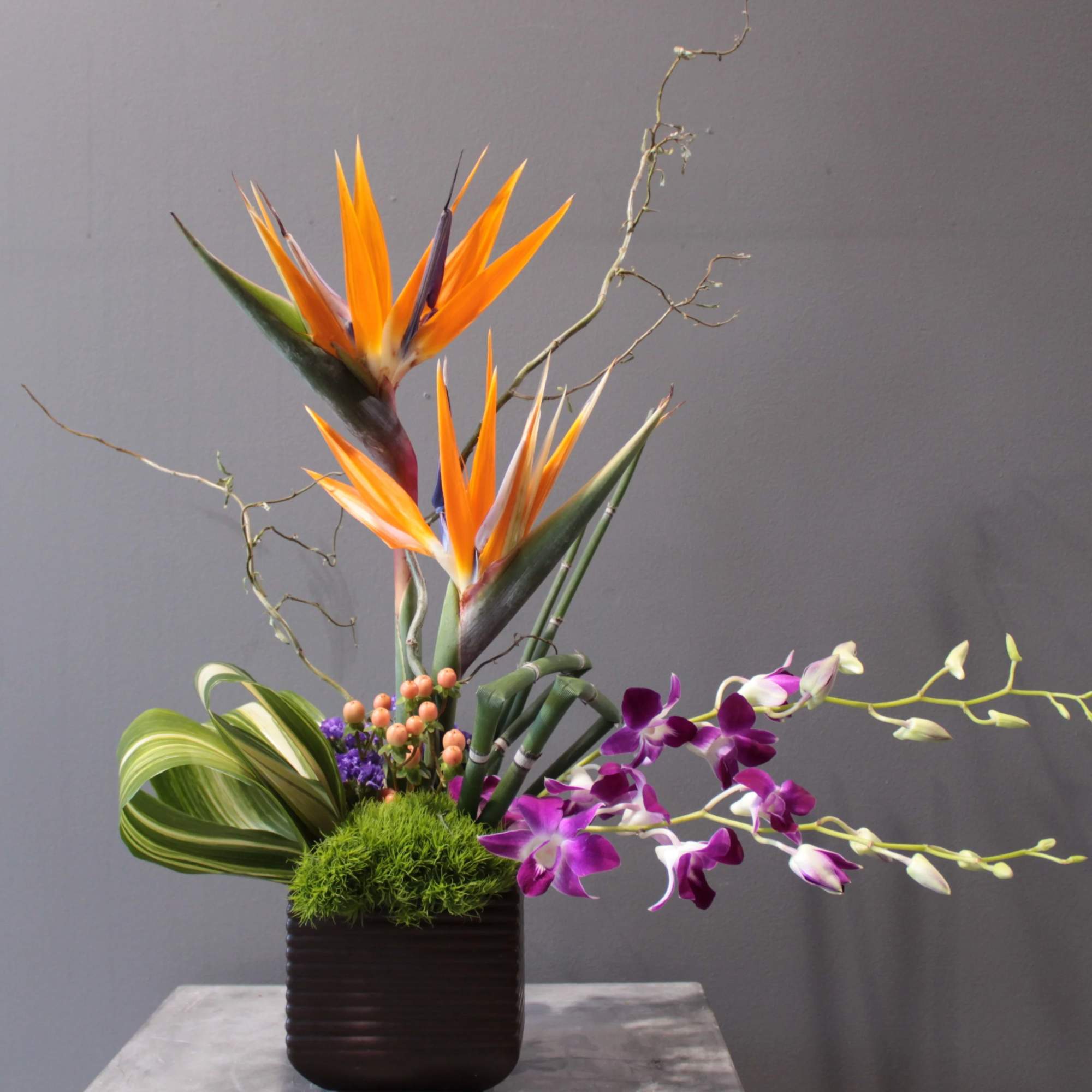 Tropical arrangement with orange bird of paradise and purple orchids in a dark vase