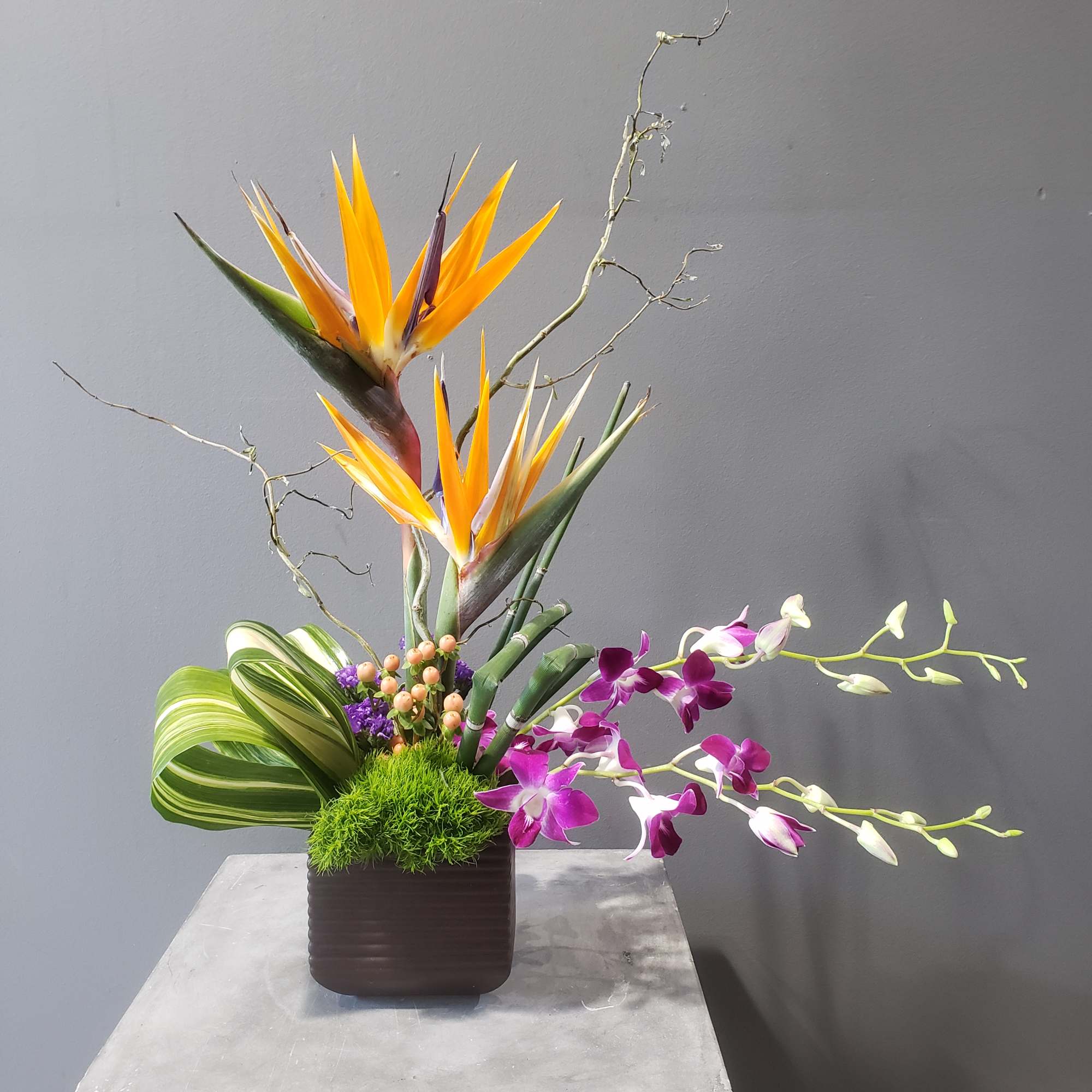 Tropical arrangement with bird of paradise and purple orchids in a square vase