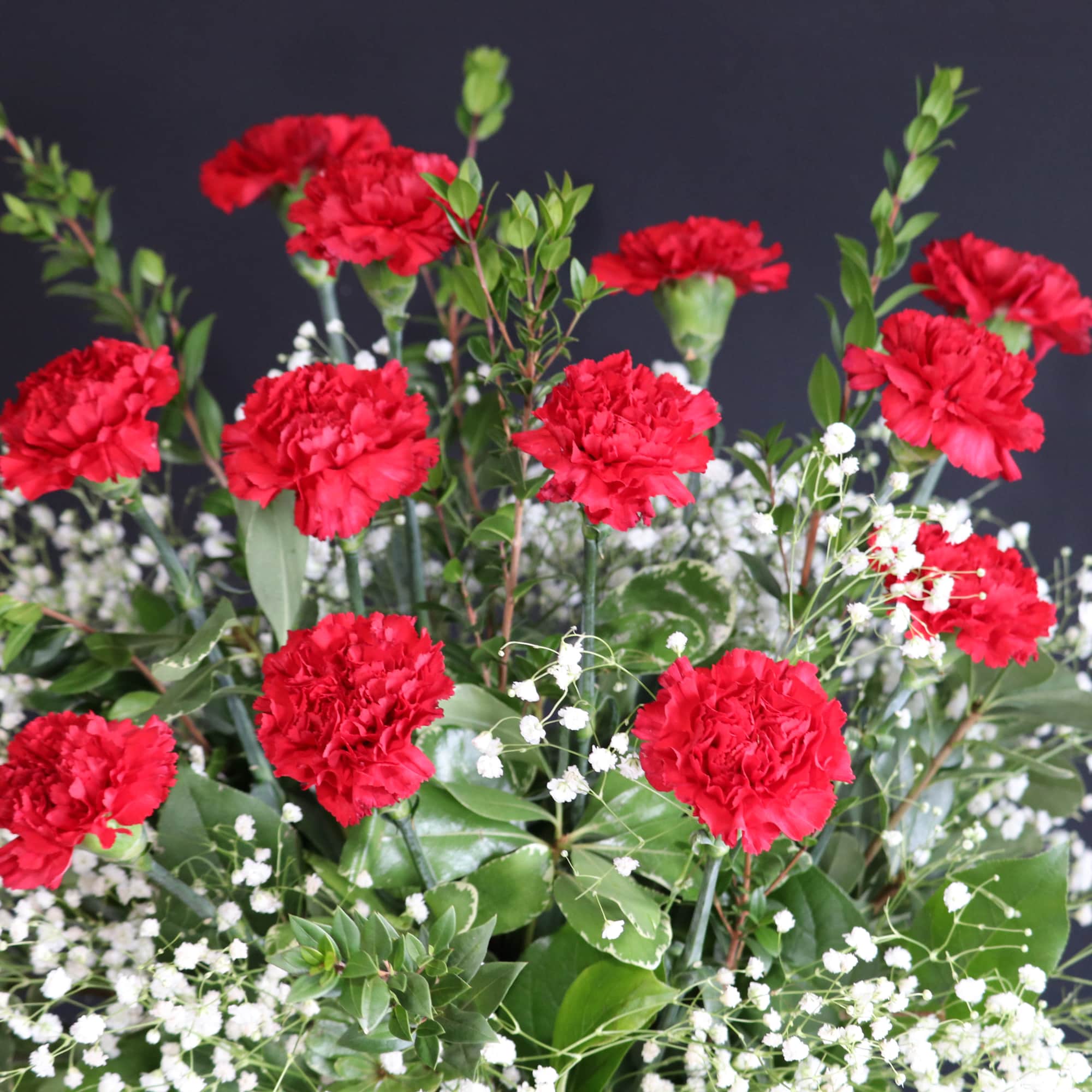 Red carnations with white baby's breath in a mixed bouquet