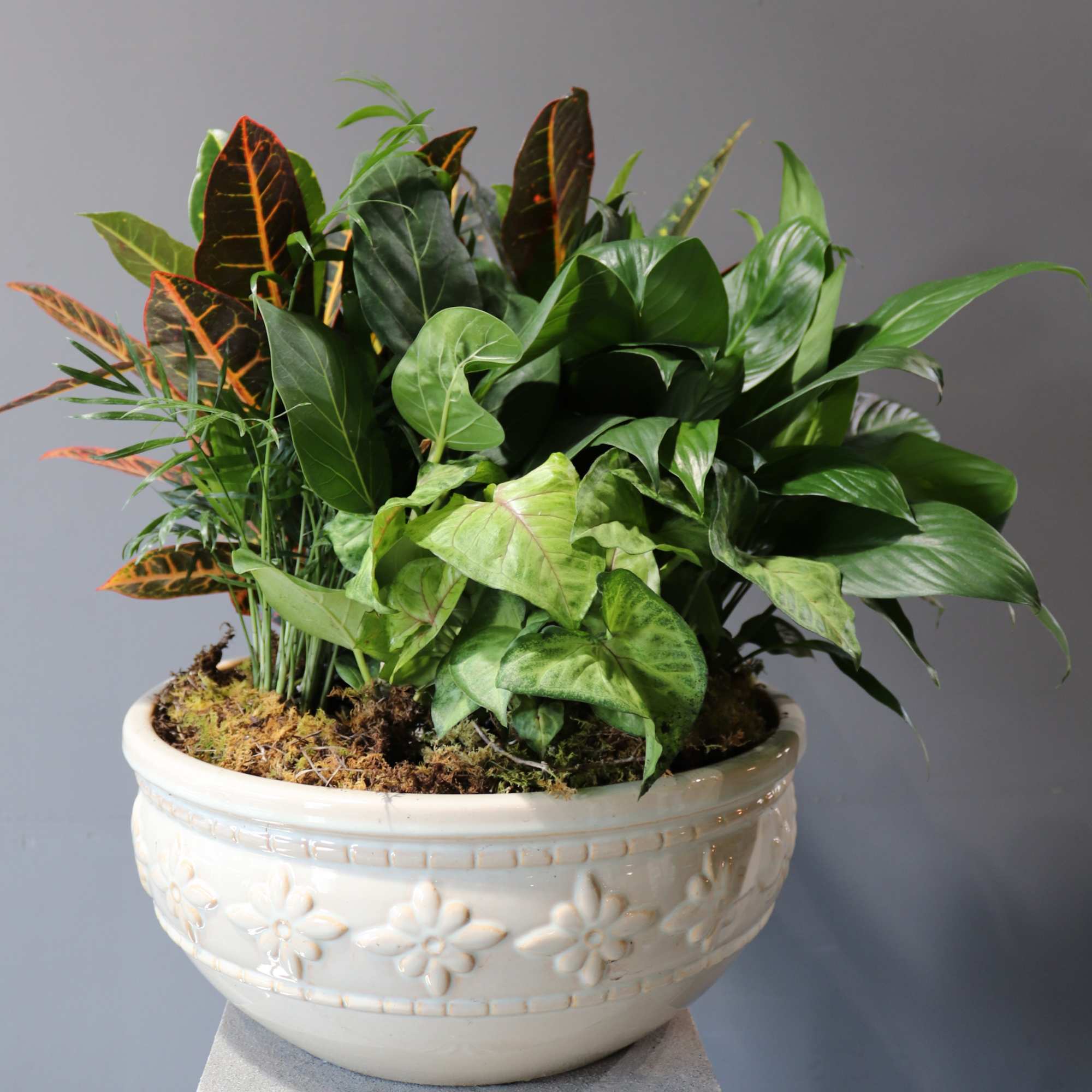 A variety of plants that are aesthetically pleasing together and live well