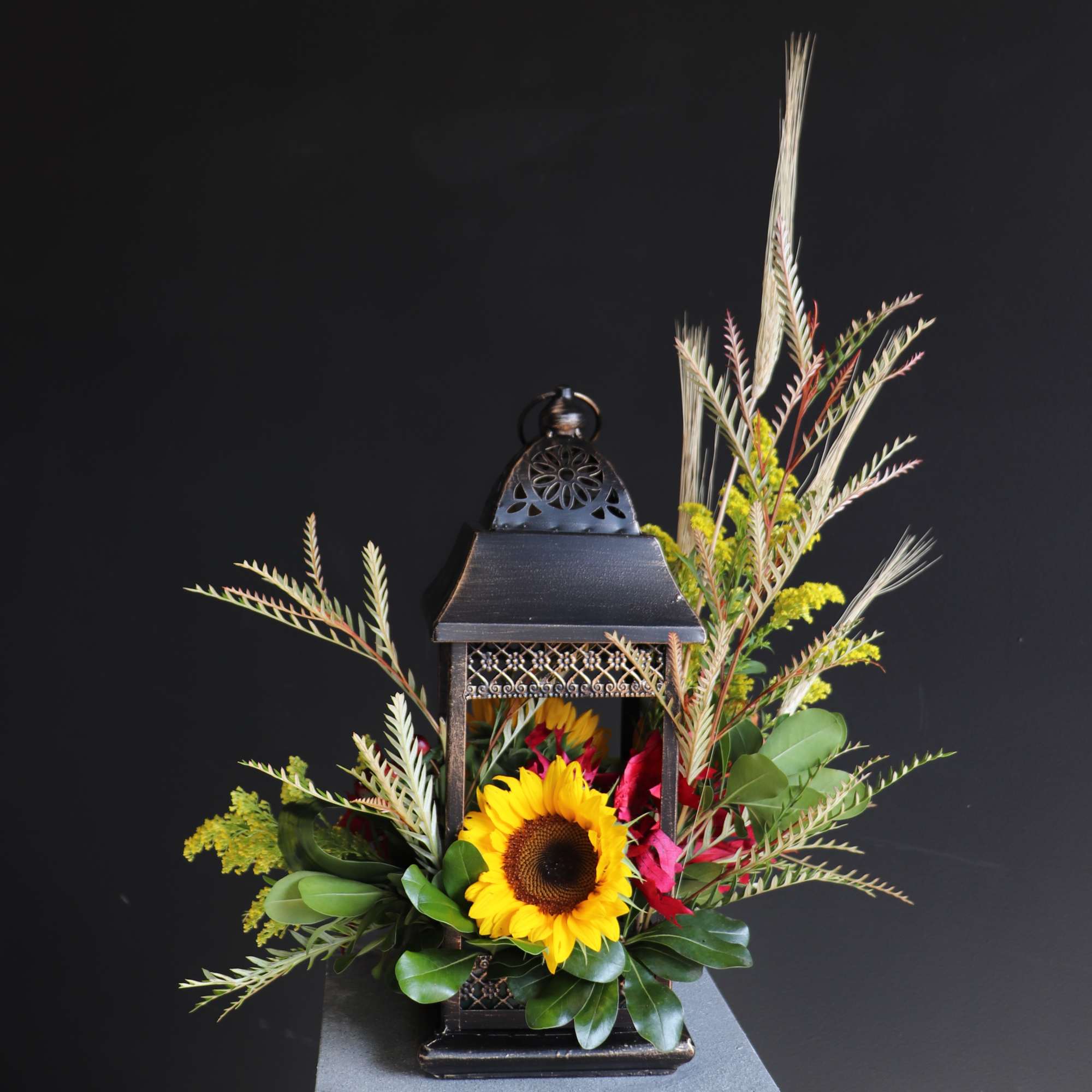 This fall we hope this lantern of sympathy can bring light to, photo 2 of 3