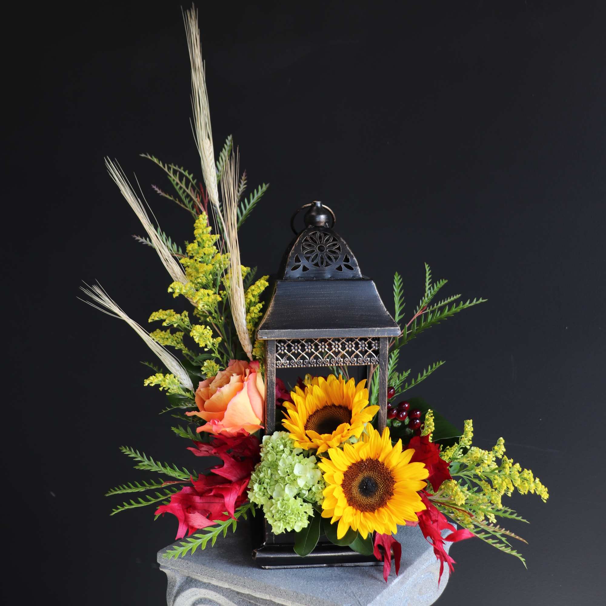 This fall we hope this lantern of sympathy can bring light to, photo 3 of 3